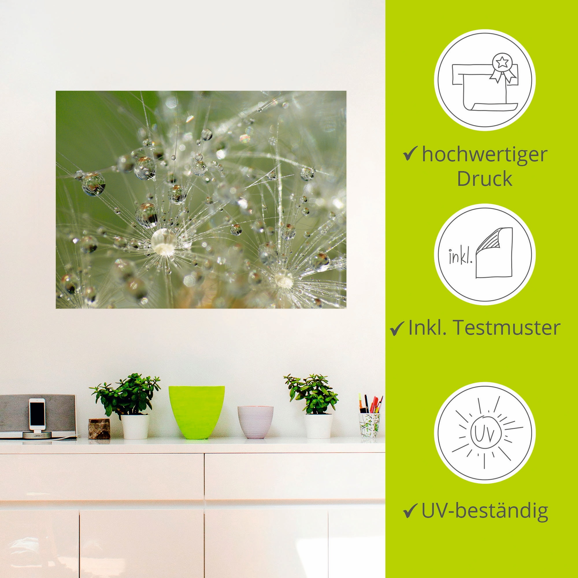 Artland Wandbild »Wassertropfen Pusteblume«, Blumen, (1 St.), als Leinwandbild, Wandaufkleber in verschied. Größen