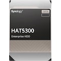 Synology interne HDD-Festplatte »HAT5300 12TB«, 3,5 Zoll