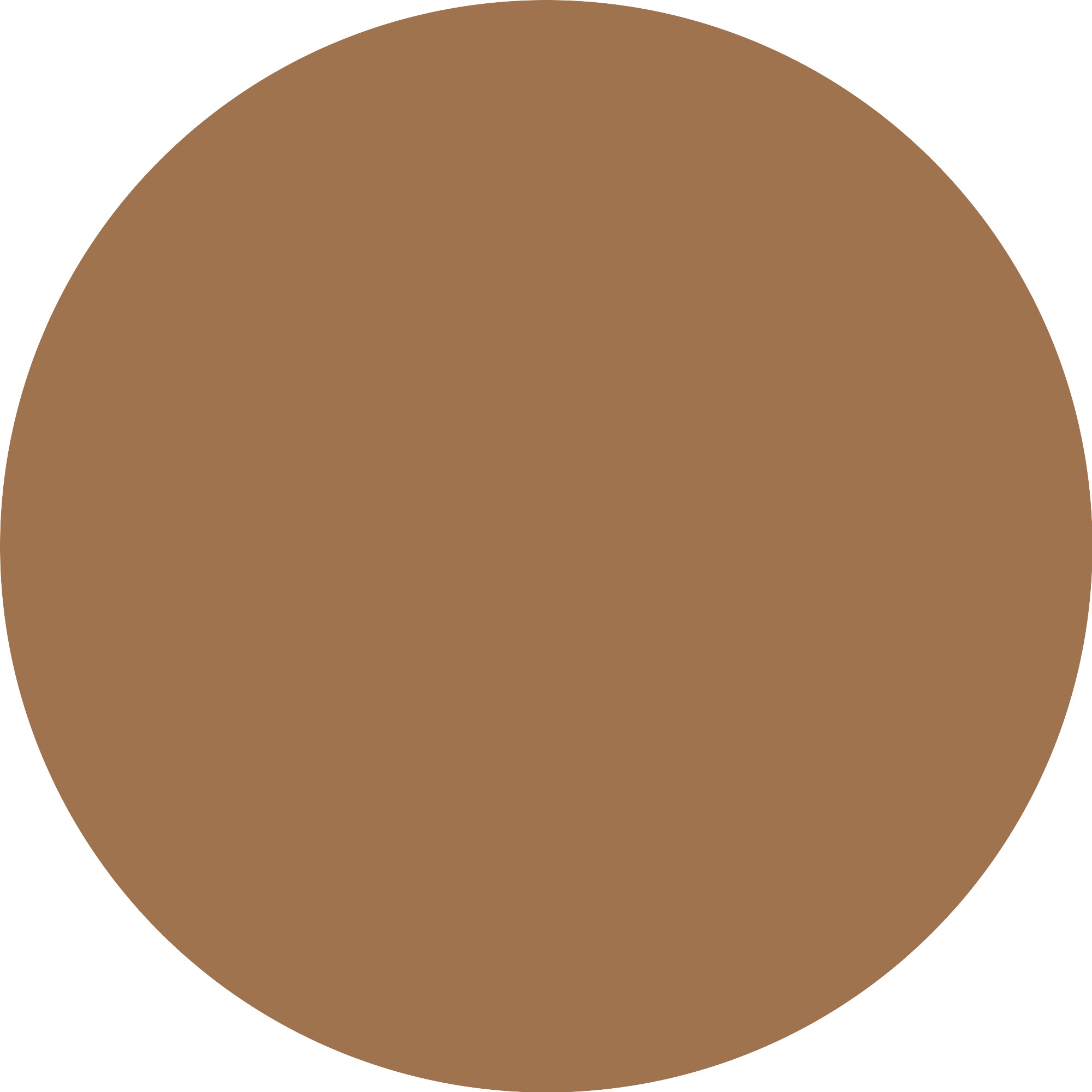 Essence Foundation »Silky BLUR HYDRATING LONGWEAR FOUNDATION«