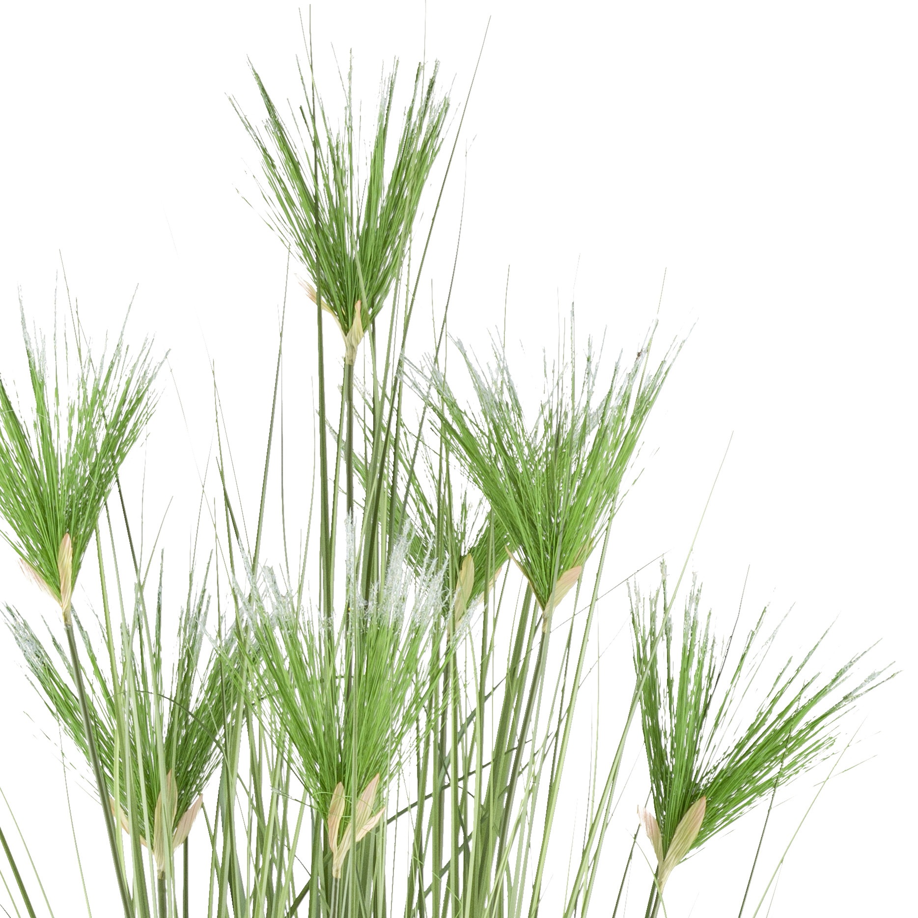 Creativ green Kunstgras »Zyperngras«, mit sieben Zyperngrasblüten günstig online kaufen