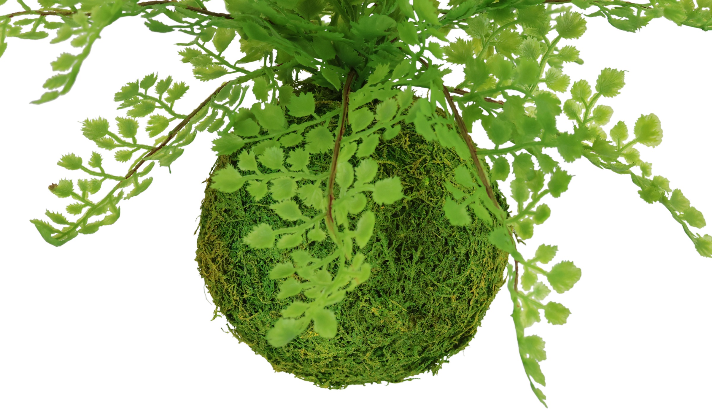 I.GE.A. Kunstpflanze »Farnbusch auf Mooskugel« Künstliche Pflanze Waldfarn