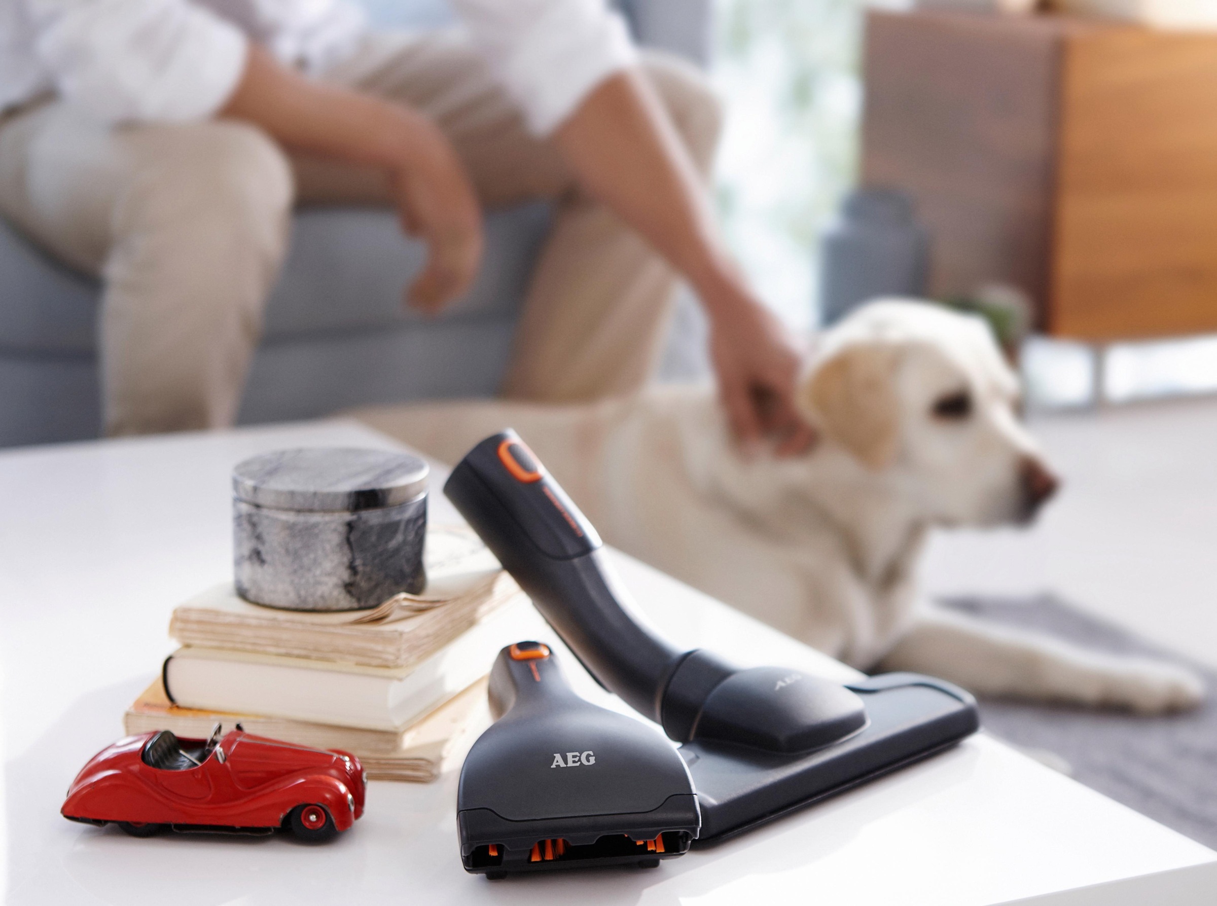 AEG Staubsaugerdüsen-Set »Animal Kit AKIT13« Matratzen- und Polsterdüse günstig online kaufen