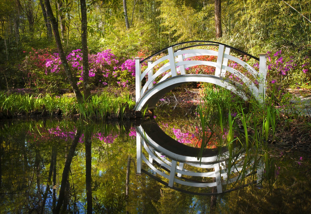 Papermoon Fototapete »Brücke im Park« günstig online kaufen