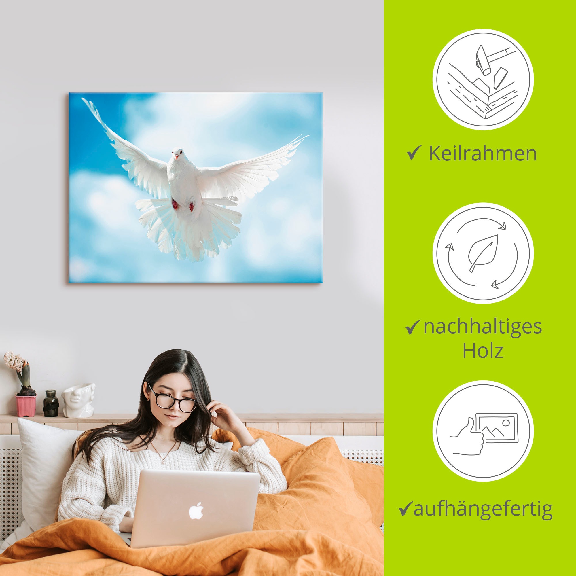 Artland Wandbild »Taube mit ausgebreiteten Flügeln«, Vögel, (1 St.), als Alubild, Outdoorbild, Leinwandbild, Poster in verschied. Größen