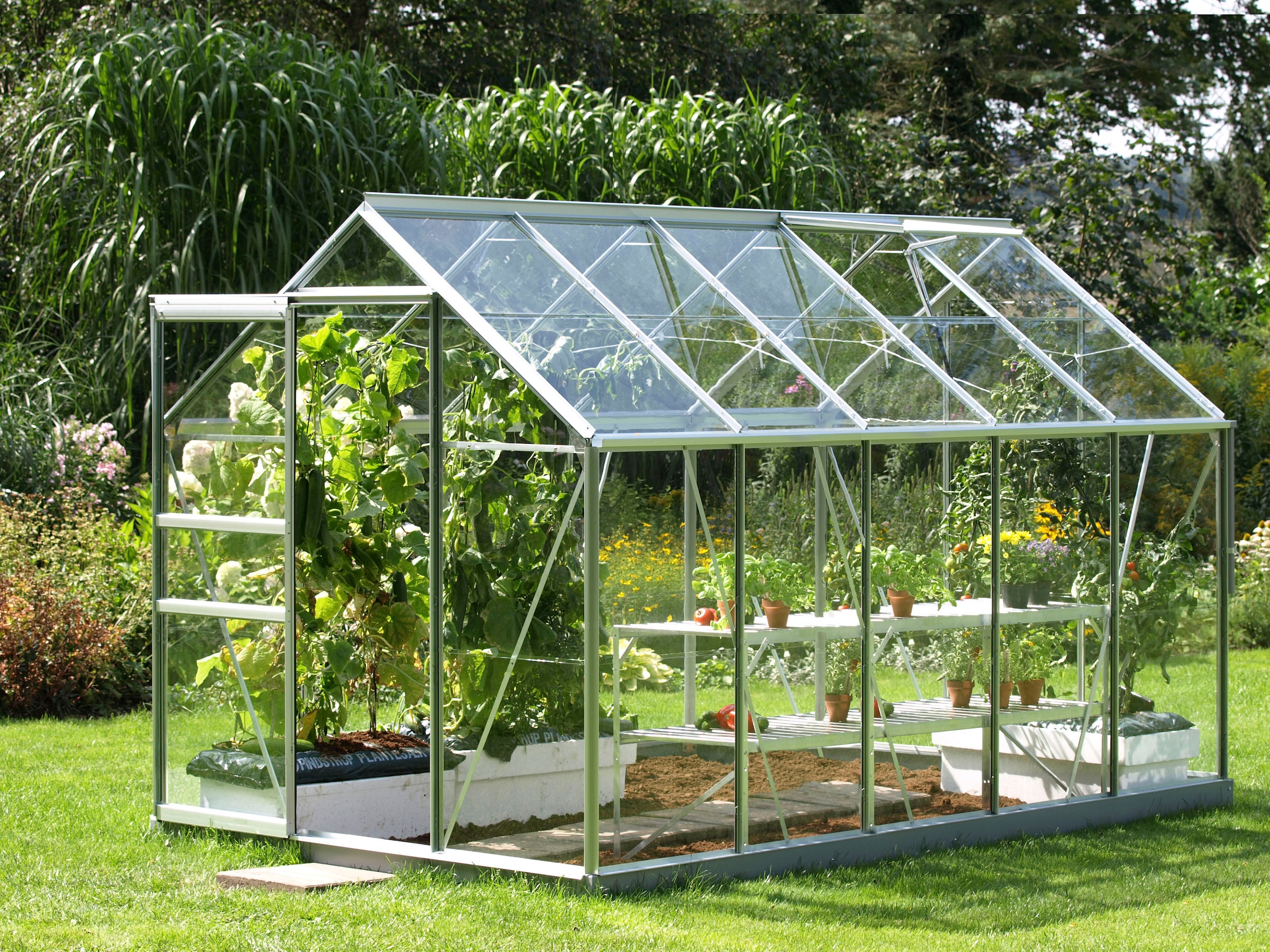 Vitavia Gewächshaus »Venus 6200«, Alu-Profile, aus 3 mm Sicherheitsglas