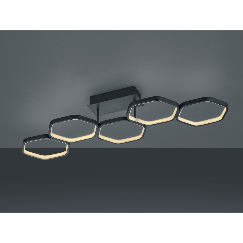 TRIO Leuchten LED Deckenleuchte »Vigo«, 1 flammig-flammig