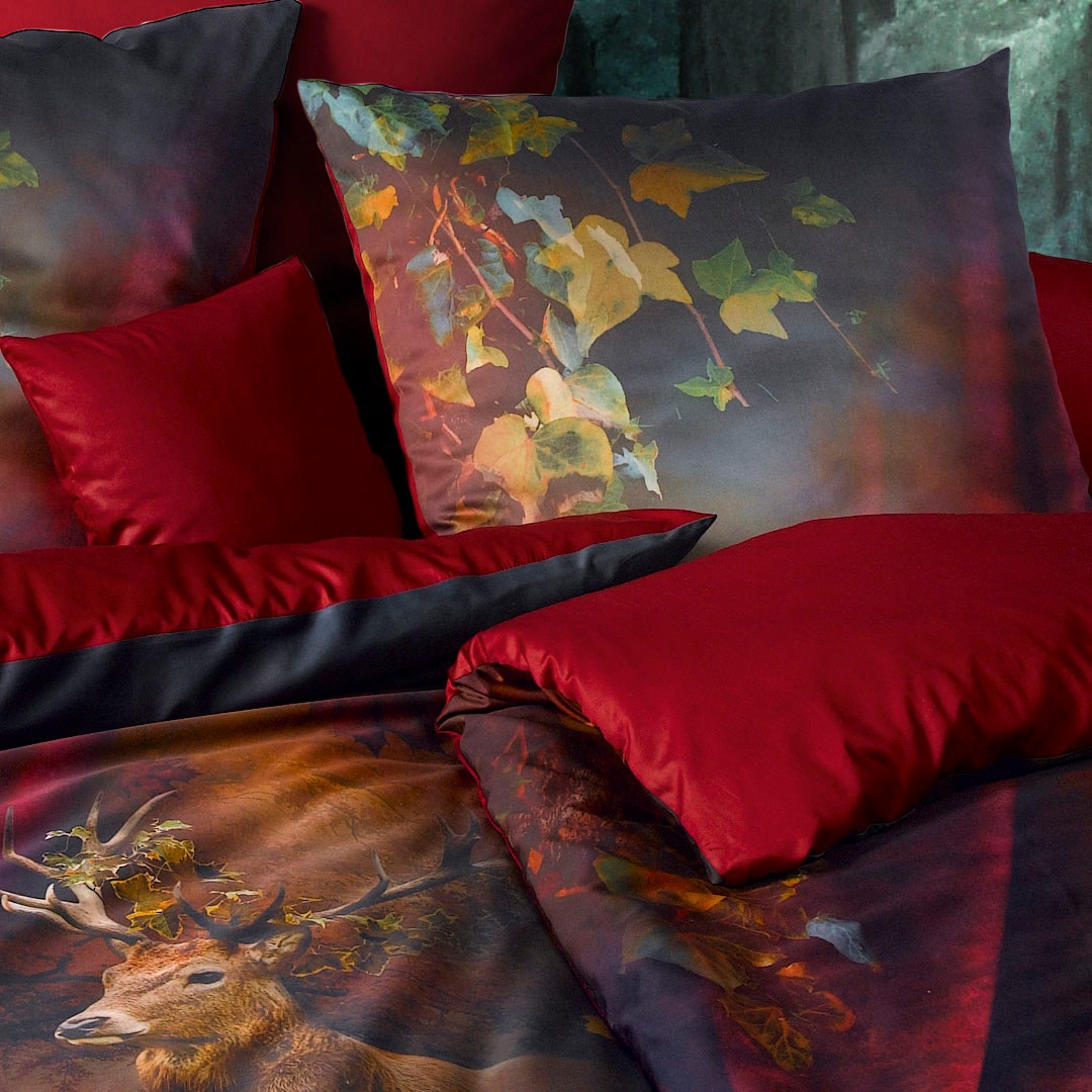 fleuresse Wendebettwäsche »Bed Art S 3759«, (2 tlg.), Vorhang auf