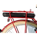 FISCHER Fahrrad E-Bike »CITA RETRO 2.1 317«, 3 Gang, Shimano, Nexus, (mit Akku-Ladegerät-mit Werkzeug)