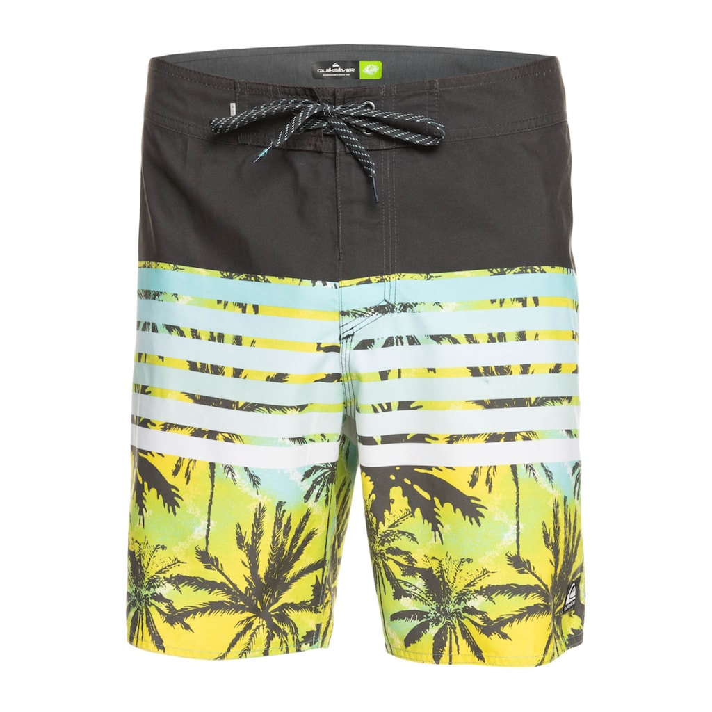 Quiksilver Boardshorts »Everyday Sion 18"«