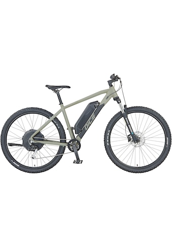 E-Bike »DICE 2.0«, 9 Gang, Shimano, Heckmotor 250 W