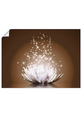 Artland Wandbild »Magie der Lotus-Blume«, Blumen, (1 St.), als Alubild, Leinwandbild,... kaufen