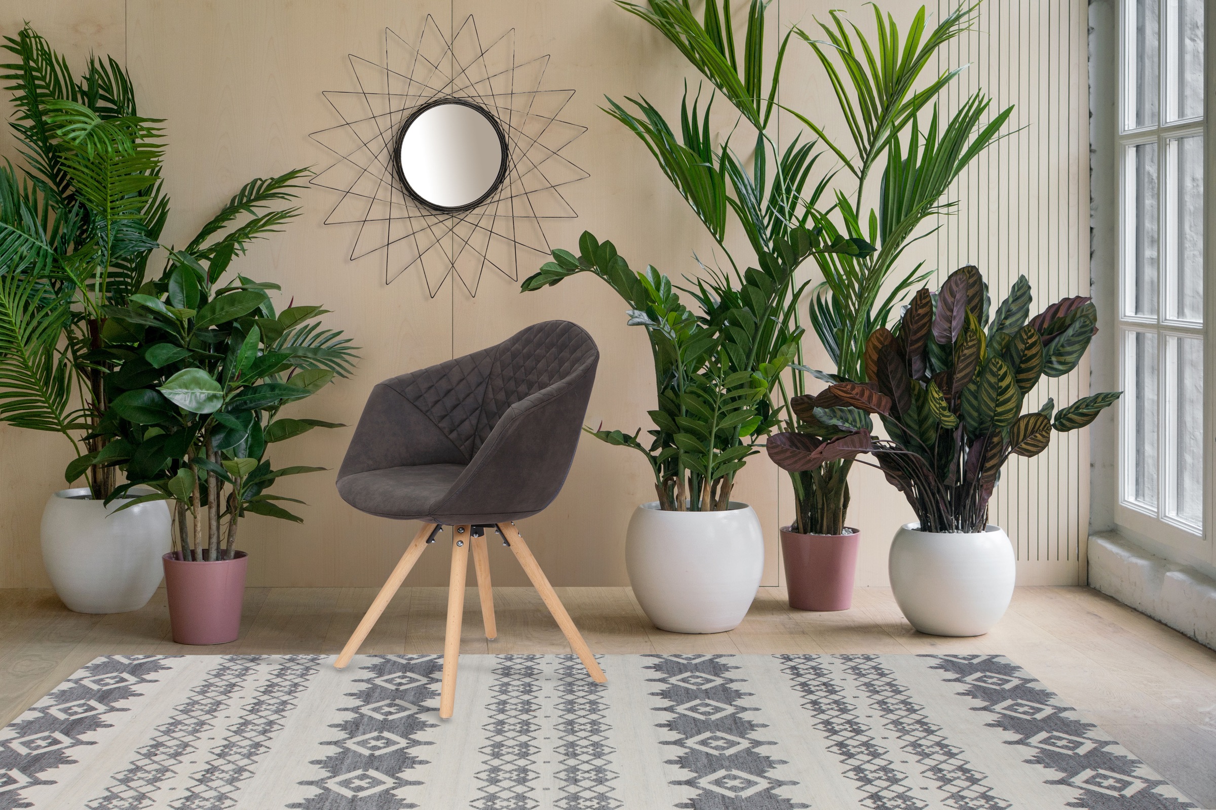 Kayoom Polsterstuhl »Stuhl Chadwick 110 2er-Set, stilvolles Design, in Natu günstig online kaufen