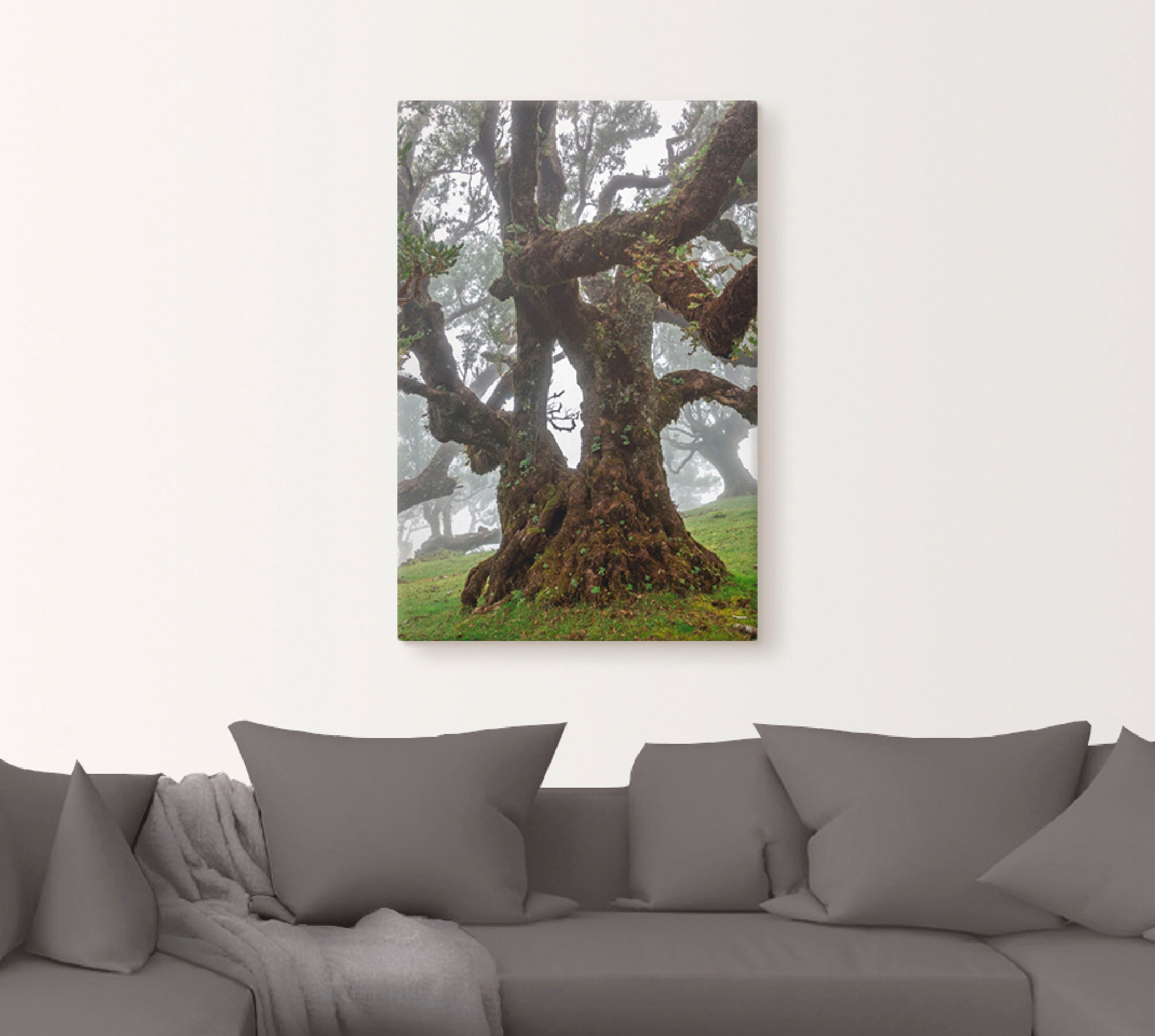 Artland Wandbild »Alter Lorbeerbaum«, Bäume, (1 St.), als Leinwandbild, Pos günstig online kaufen