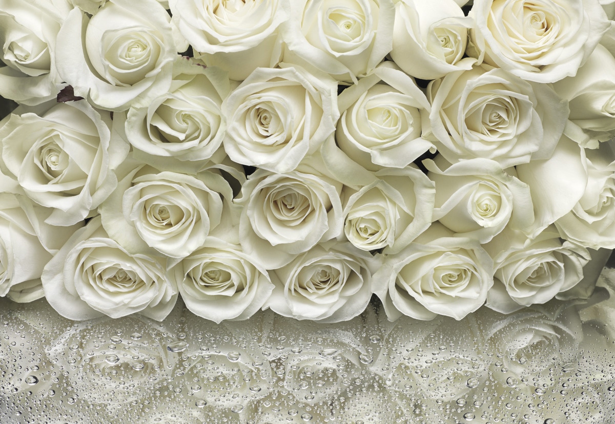 Komar Fototapete »A la Rose - Größe 368 x 254 cm«, bedruckt, Wohnzimmer, Schlafzimmer