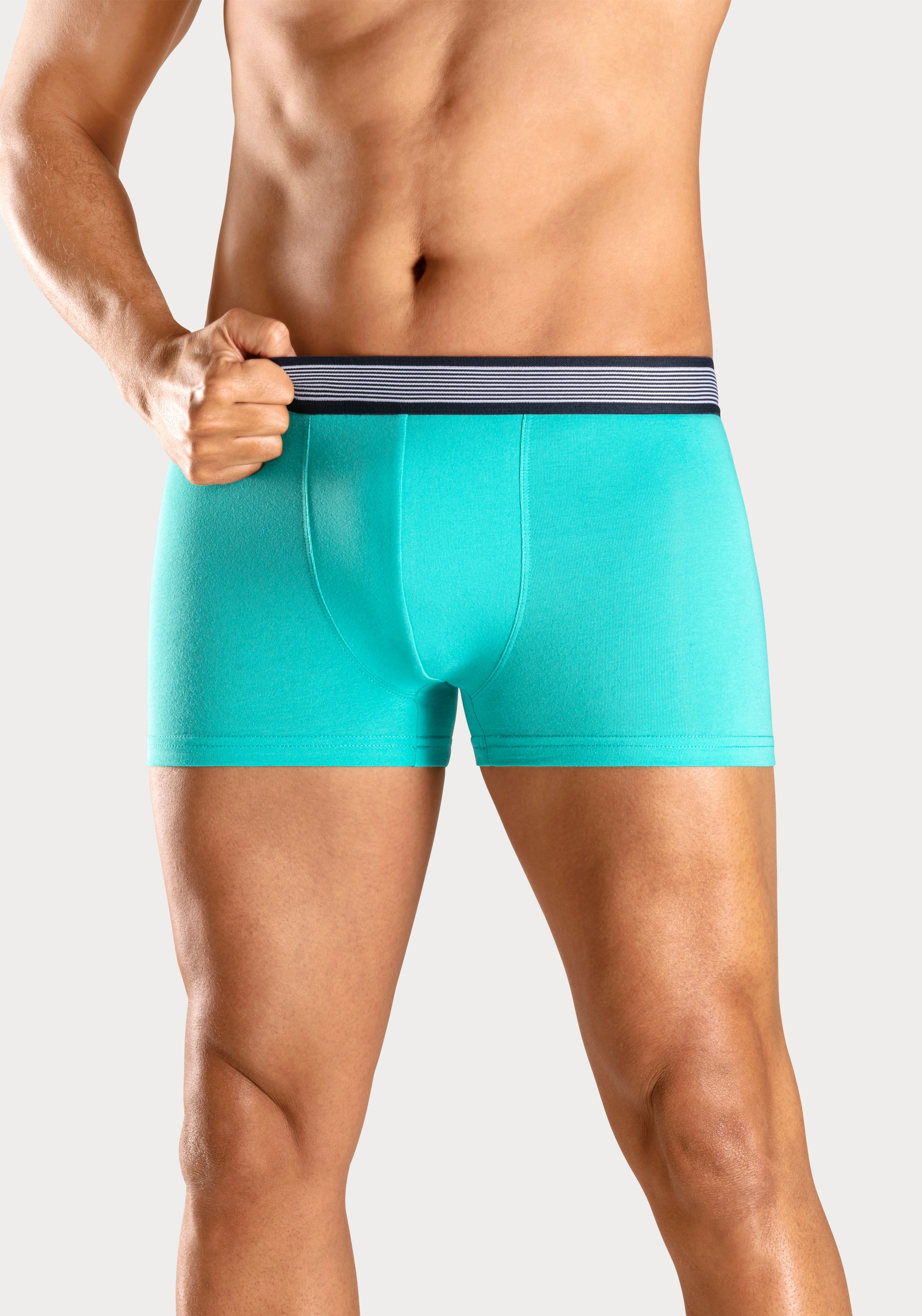 H.I.S Boxer »Boxershorts für Herren«, (Packung, 4 St.), mit gestreiftem Webbund