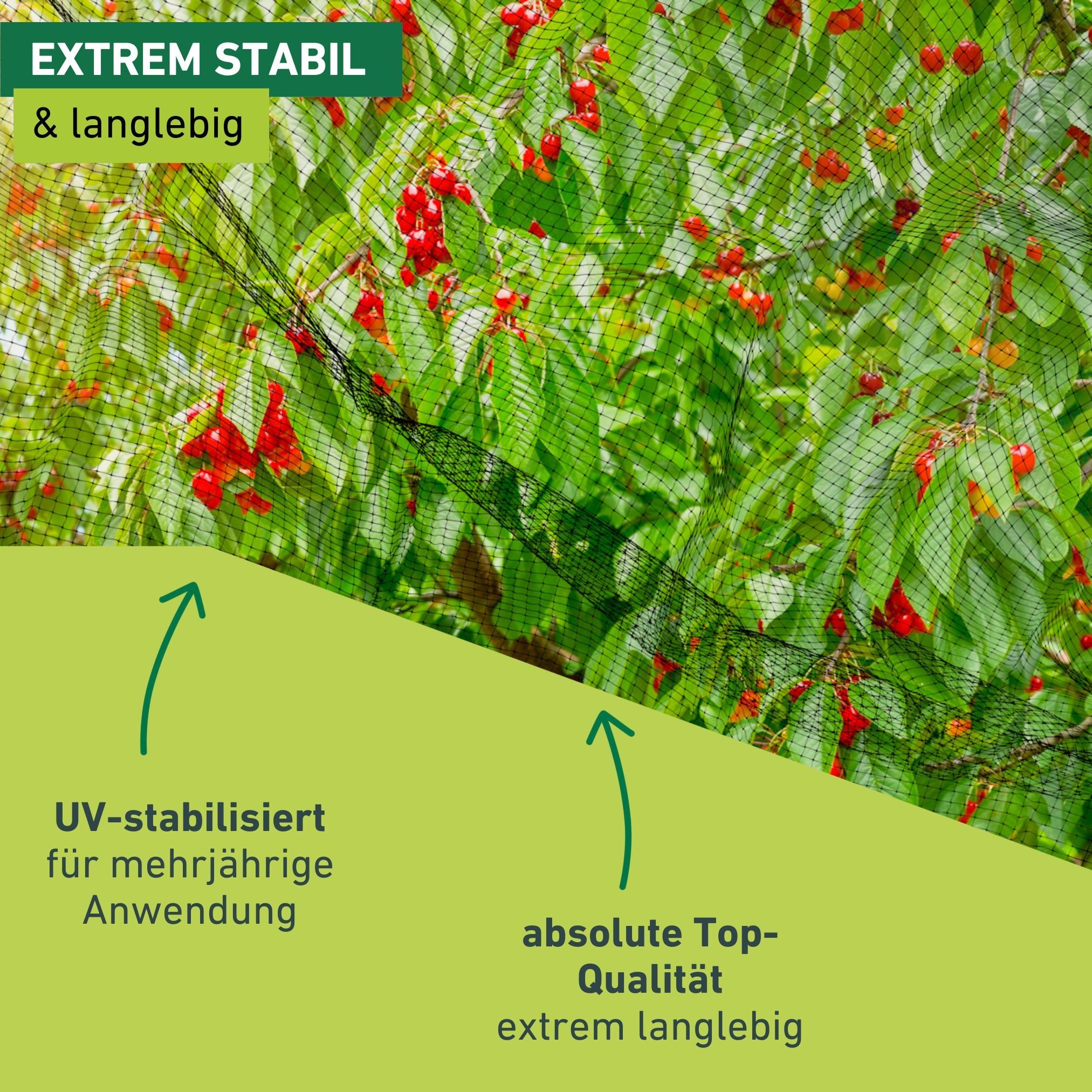 Windhager Schutznetz »für Obstbäume und Sträucher, Vogelschutz-Netz Ortonet« Maschenweite 13 mm, erhältlich in unterschiedlichen Größen