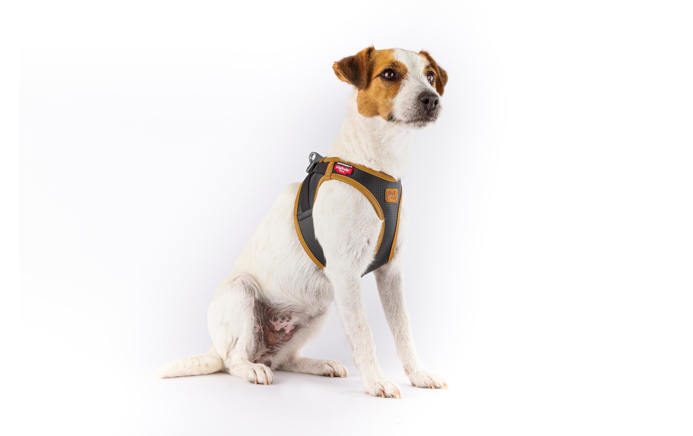 Curli Hunde-Geschirr »Vest Geschirr Apfelleder« Leder