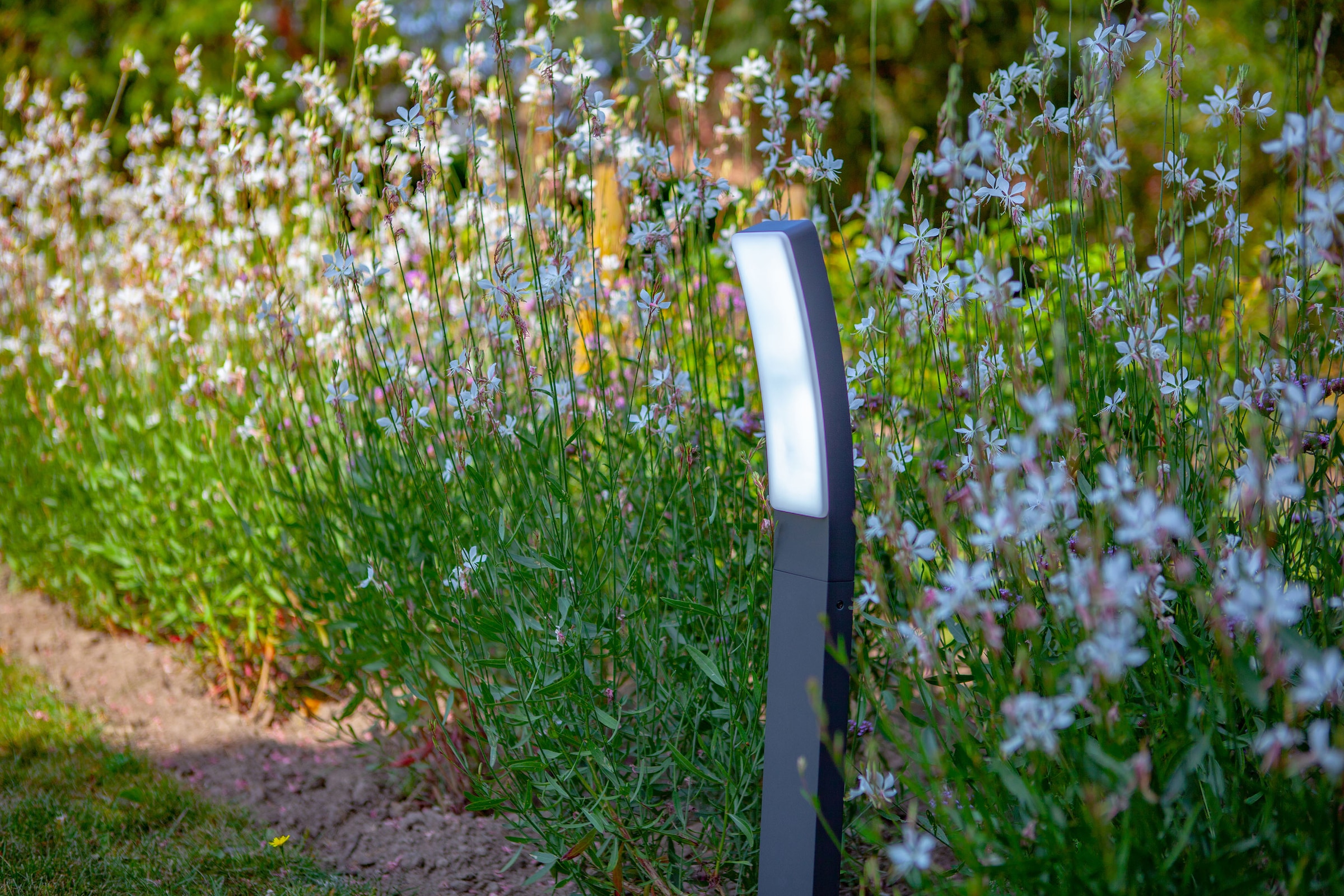 LUTEC LED Außen-Wandleuchte »KIRA«, Leuchtmittel LED-Modul | LED fest integriert