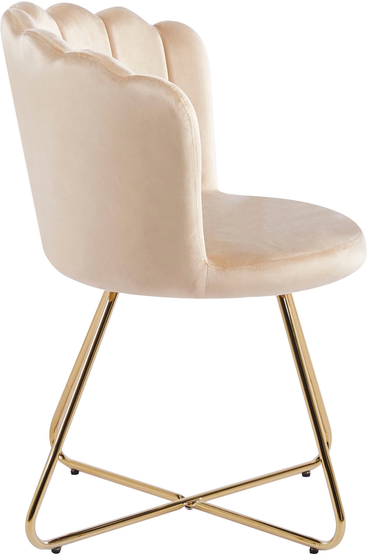 SalesFever Polsterstuhl, (Set), 2 St., Samt, Muschel-Design