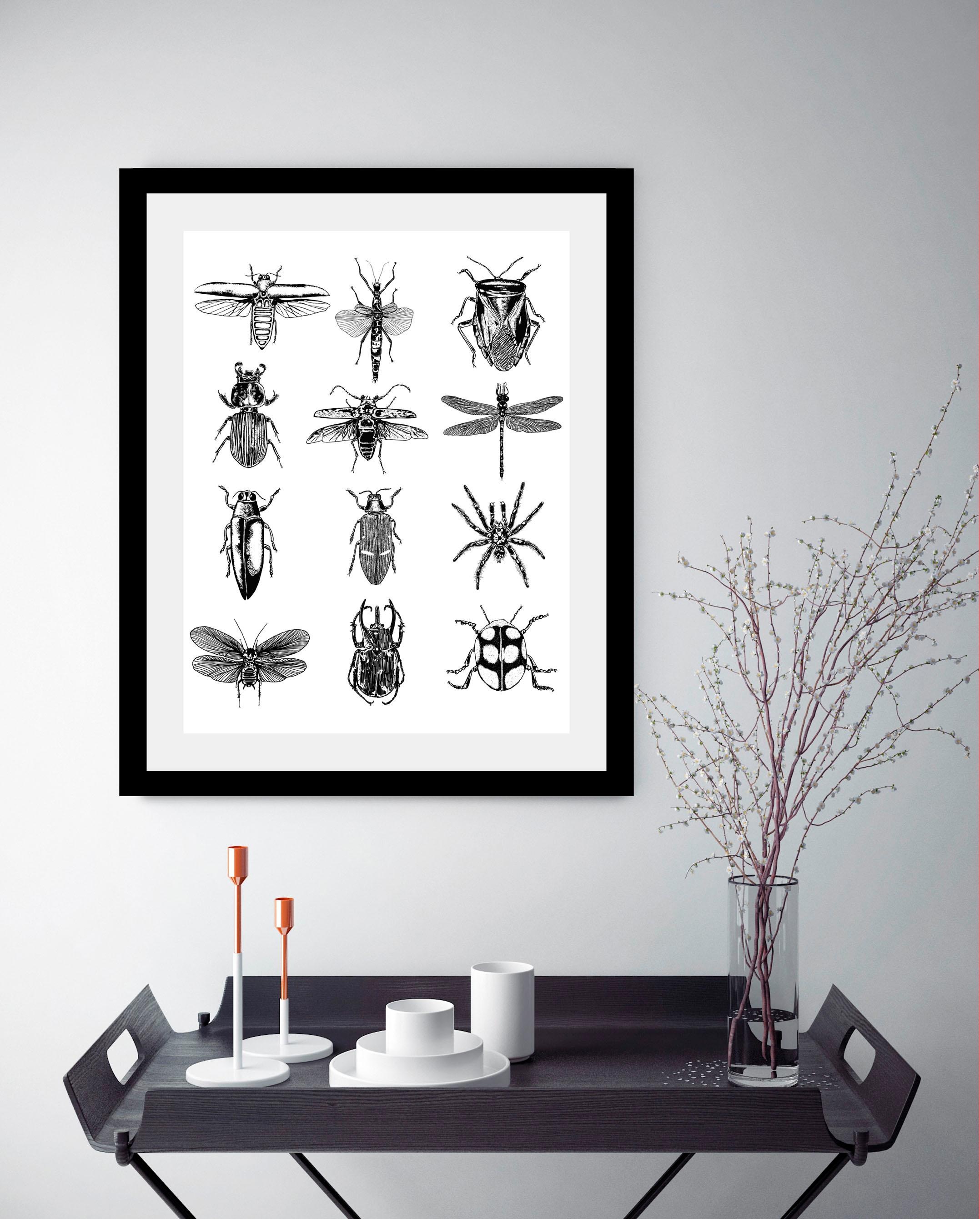 queence Bild »Insekten«, Tiere-Schwarz-Weiß-Kunst-Insekten, HD Premium Post günstig online kaufen