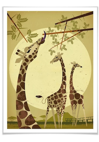 Poster »Giraffes«, Tiere, (1 St.)