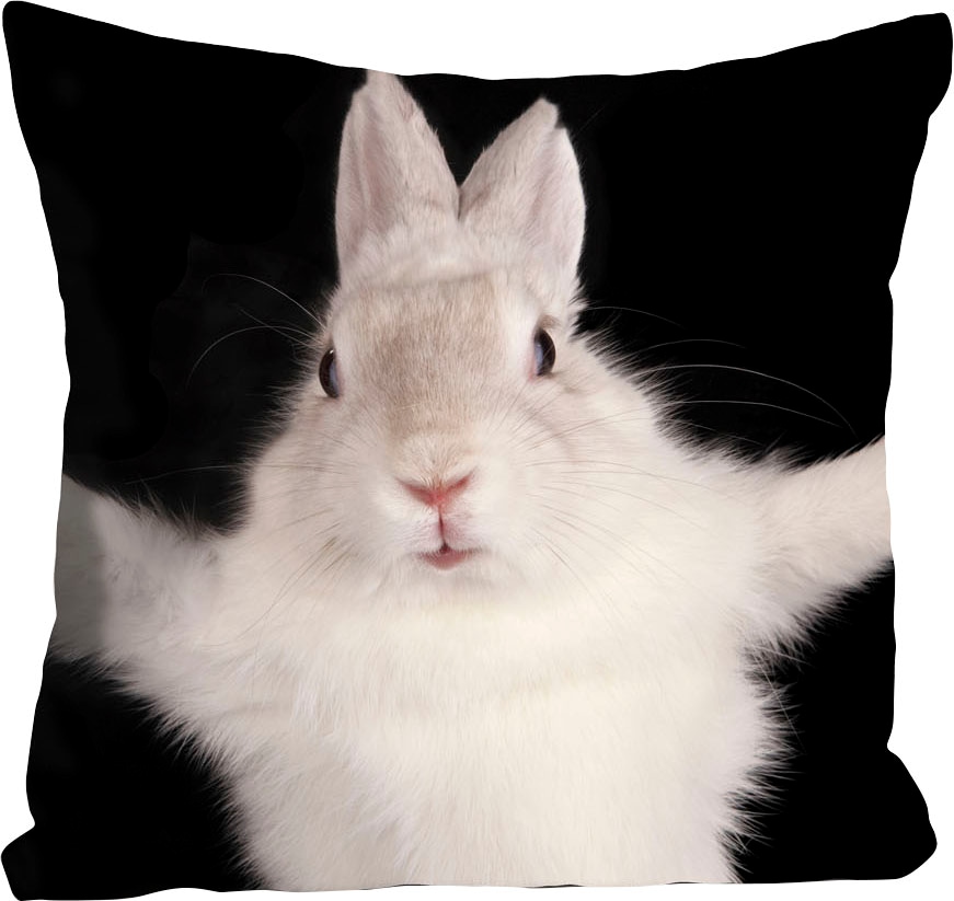 queence Dekokissen »Hugging Bunny«, Kissenhülle,Hase,Süß,Umarmen,Niedlich,K günstig online kaufen