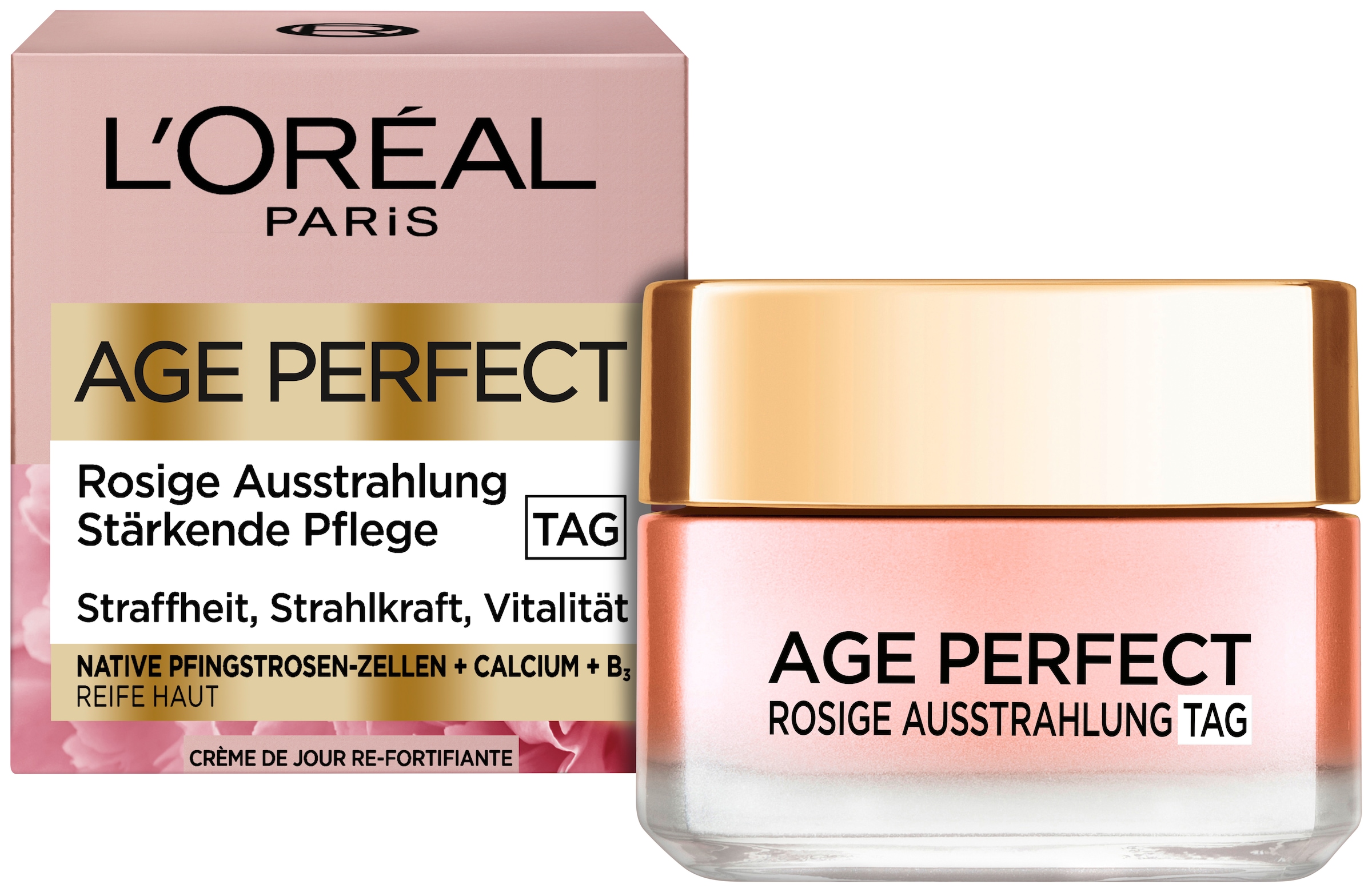 L'ORÉAL PARIS Tagescreme »AGE PERFECT GOLDEN AGE ROSÉ-TAGESPFLEGE« für reife Haut, mit Calcium und Vitamin B3, strafft die Haut