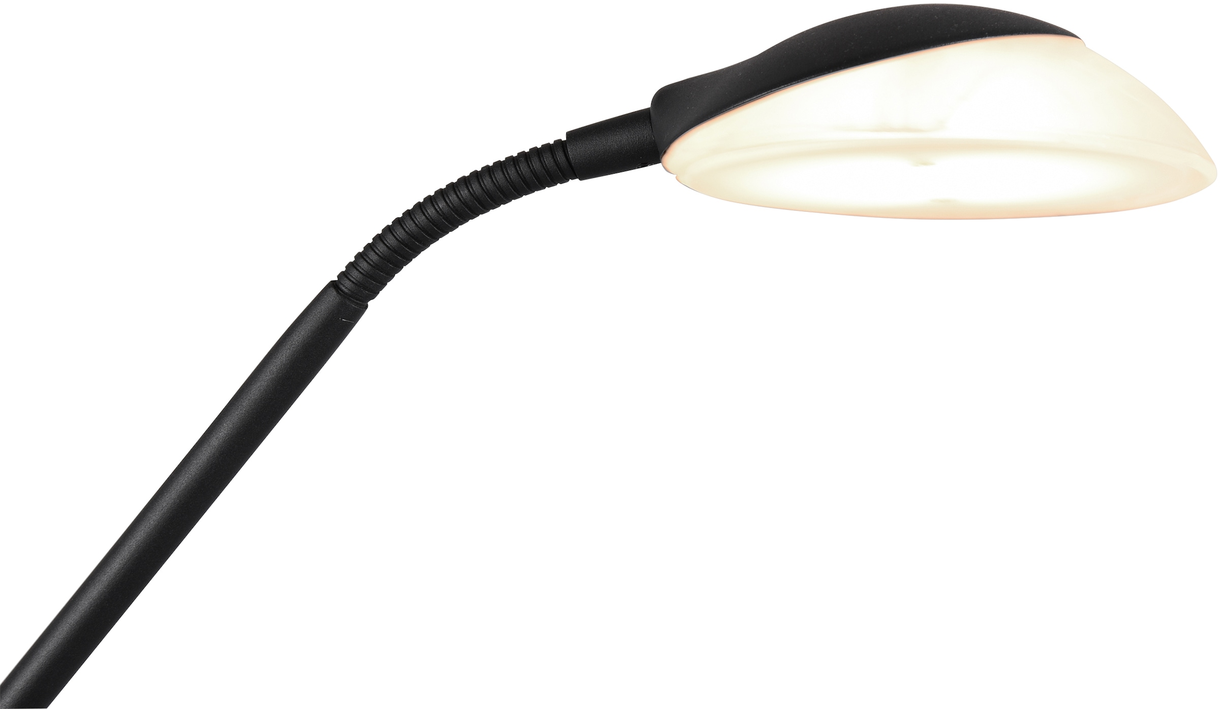 Stehlampe LED flammig-flammig, kaufen TRIO Dimmer,Memory schaltbar,integrierter Funktion online Leuchten »Orson«, 1 Getrennt