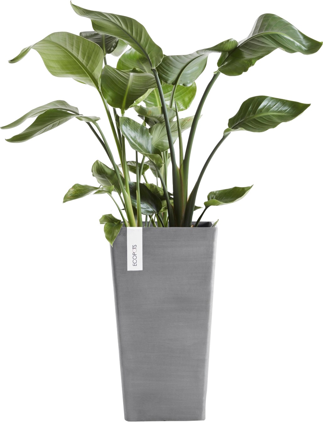 ECOPOTS Blumentopf »ROTTERDAM MID HIGH Grey« BxTxH: 31x31x56 cm