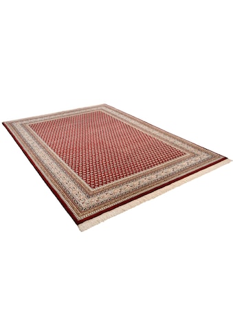 THEKO Orientteppich »Abbas Meraj Mir«, rechteckig, 12 mm Höhe, reine Wolle,... kaufen
