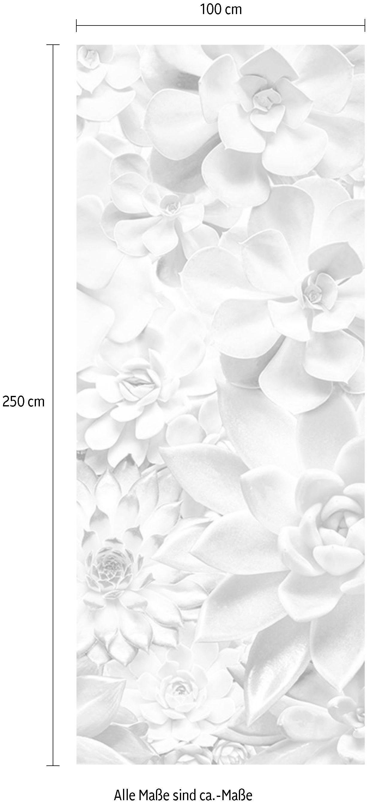 Komar Vliestapete »Digitaldruck Vlies -  Shades Black and White Panel« bedruckt glatt Wohnzimmer, Schlafzimmer