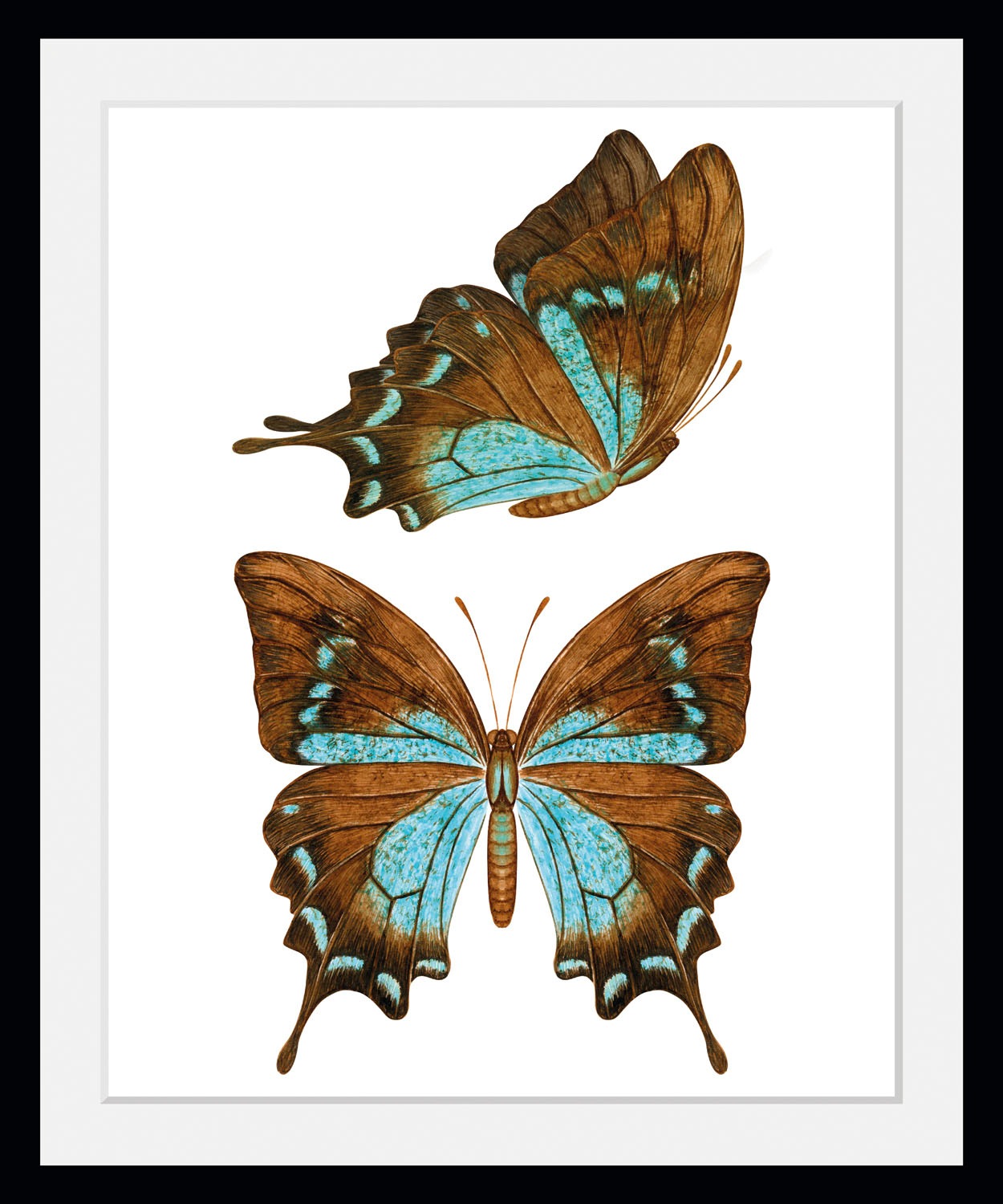 queence Bild »Nala«, Schmetterlinge-Kunst-Insekten, (1 St.), HD Premium Pos günstig online kaufen