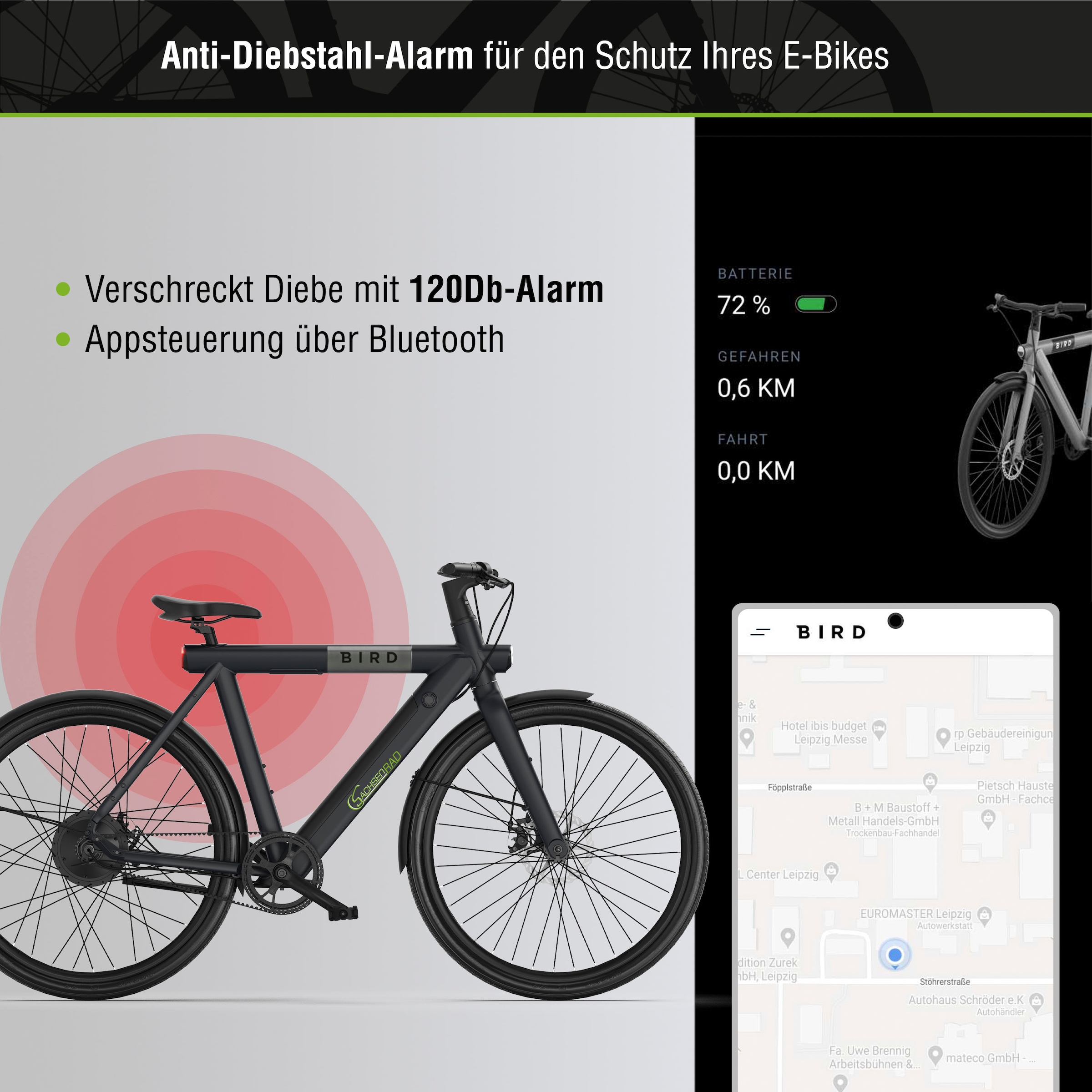 SachsenRad »C6R« 1 Gang ohne Schaltung Heckmotor 250 W Pedelec, Elektrofahrrad für Damen und Herren