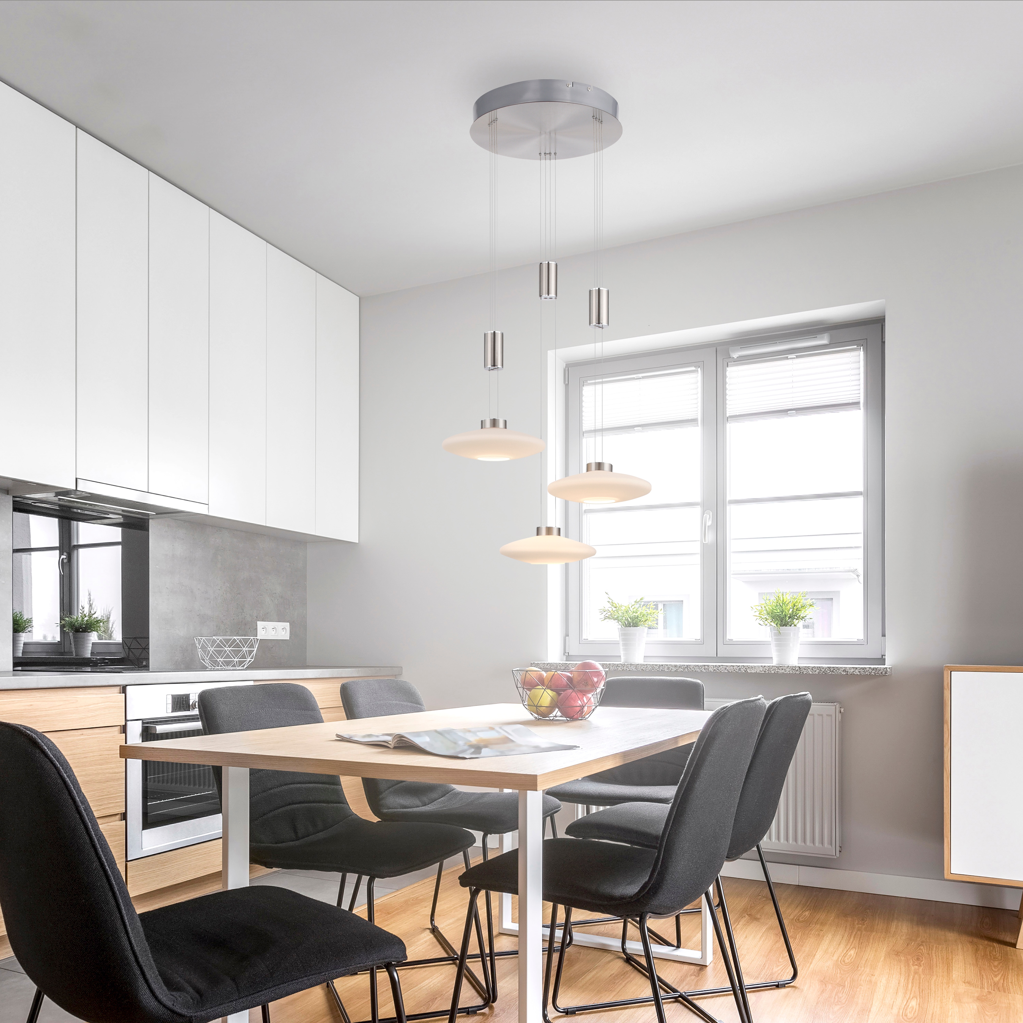 Paul Neuhaus Pendelleuchte »LAUTADA« LED-Board 1 Stk. Warmweiß LED, dimmbar günstig online kaufen
