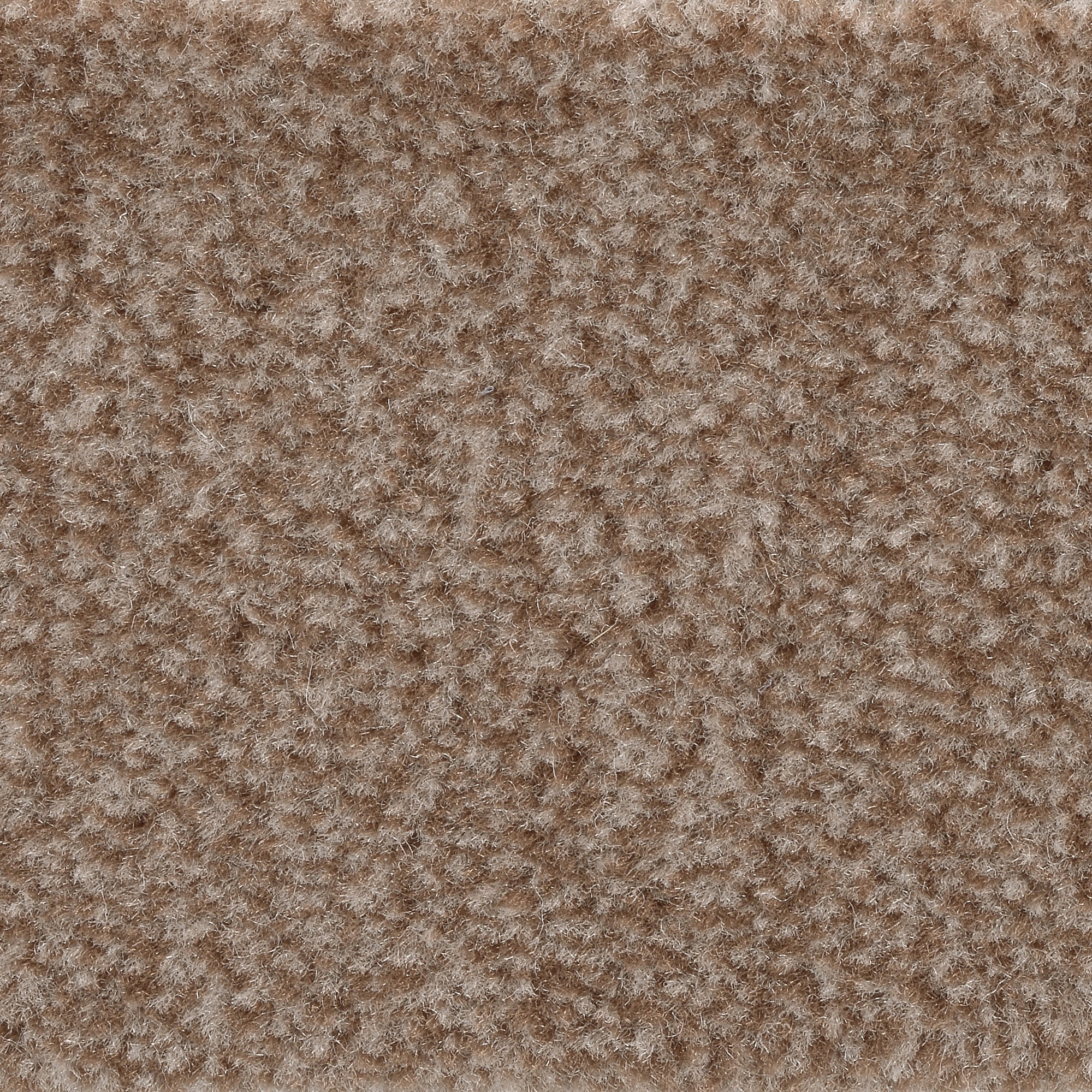 Bodenmeister Teppichboden »Jupiter, Velours - meliert, Made in Belgium«, re günstig online kaufen