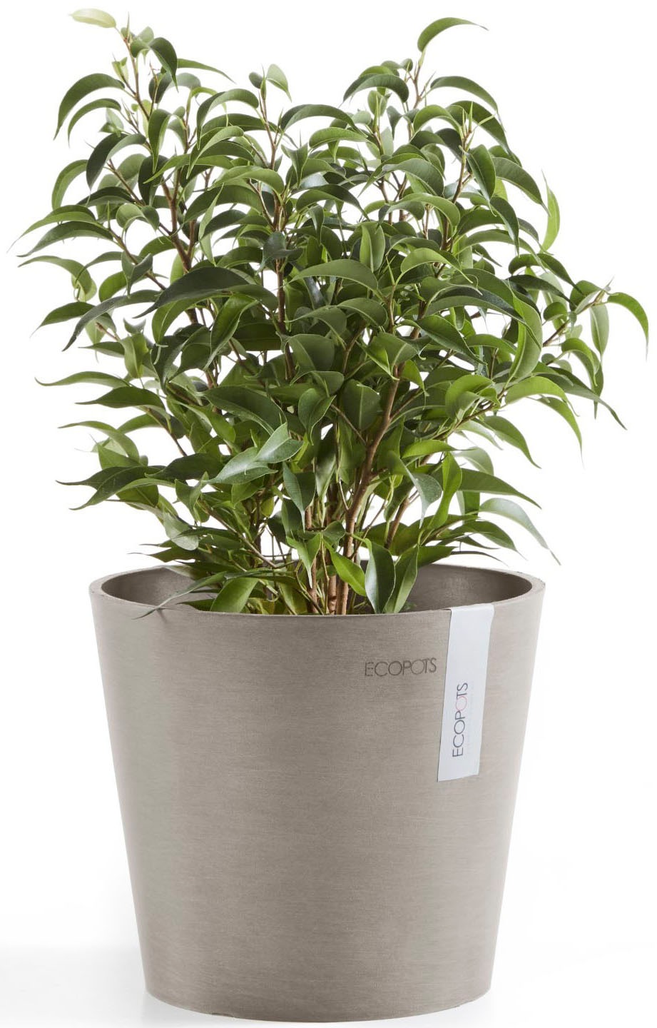 ECOPOTS Blumentopf »Amsterdam Mini 17 Taupe« für den Innenbereich