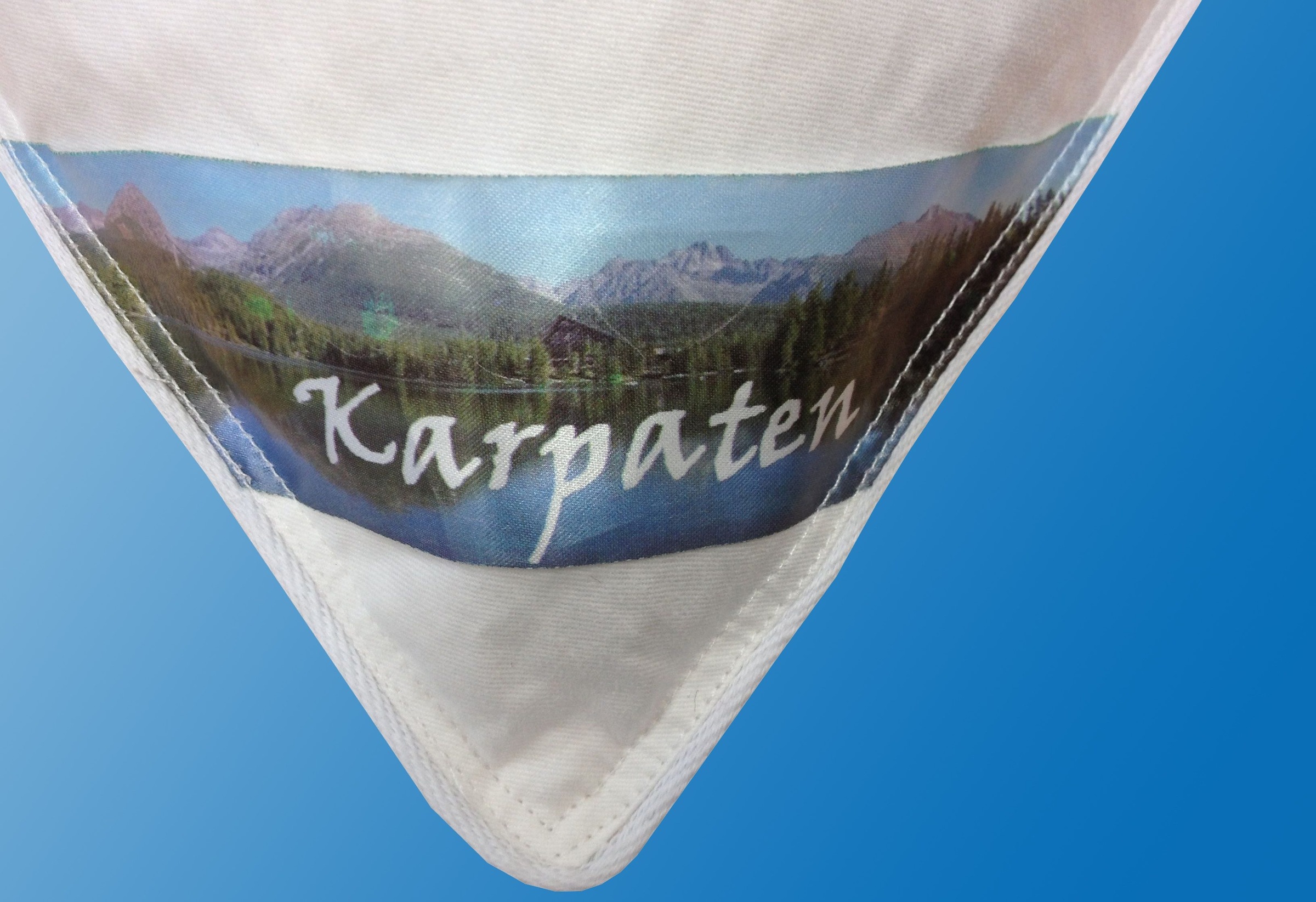 Dreams Federkopfkissen »Karpaten« Füllung: 70% oder 85% Federn 1 Stk. tlg. günstig online kaufen