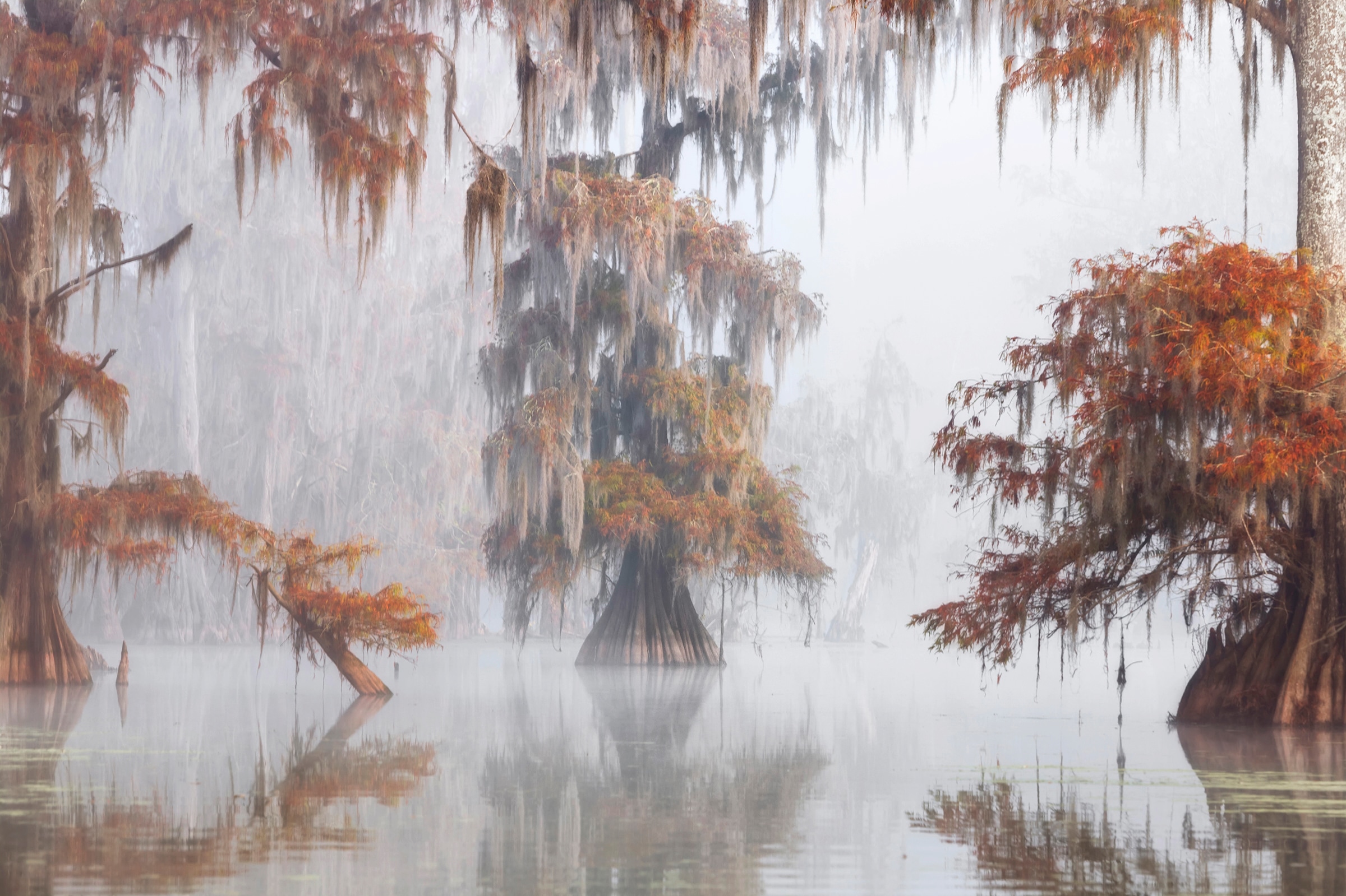 Papermoon Fototapete »Photo-Art ROBERTO MARCHEGIANI, MYSTY BAYOU« günstig online kaufen