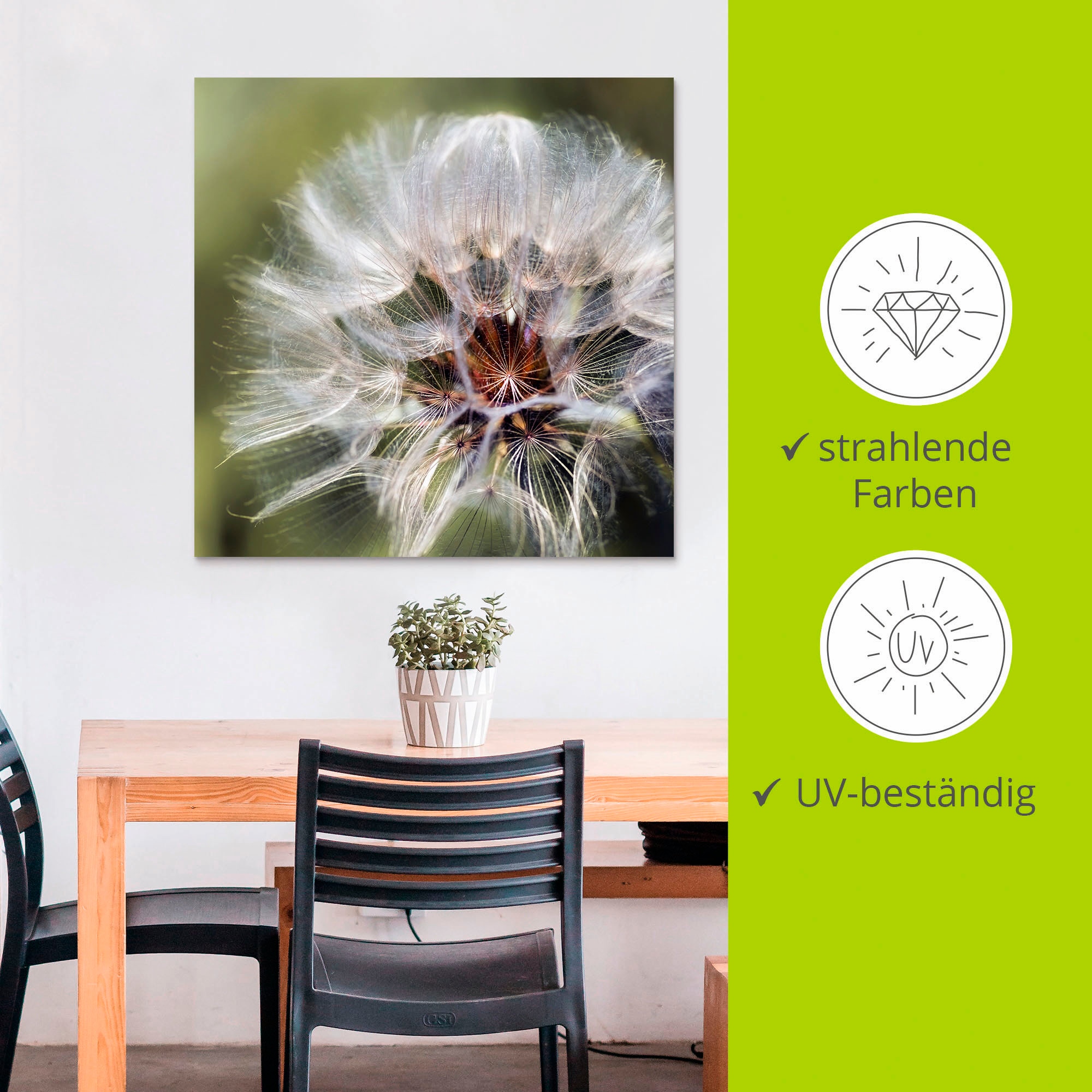 Artland Wandbild »Pusteblume II«, Blumen, (1 St.), als Alubild, Outdoorbild, Poster in verschied. Größen