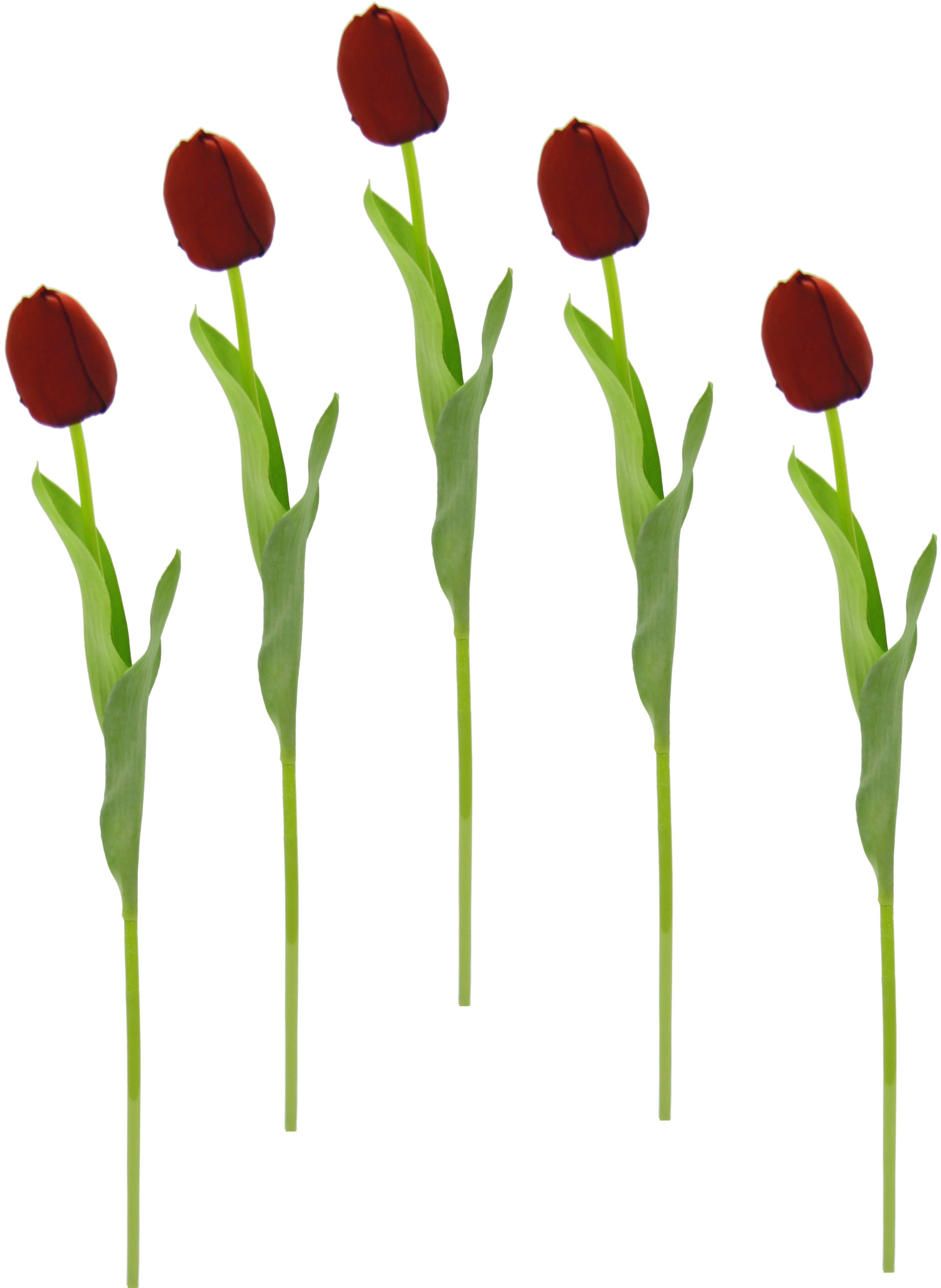 I.GE.A. Kunstblume »Real Touch Tulpen«, 5er Set künstliche Tulpenknospen, Kunstblumen, Stielblume