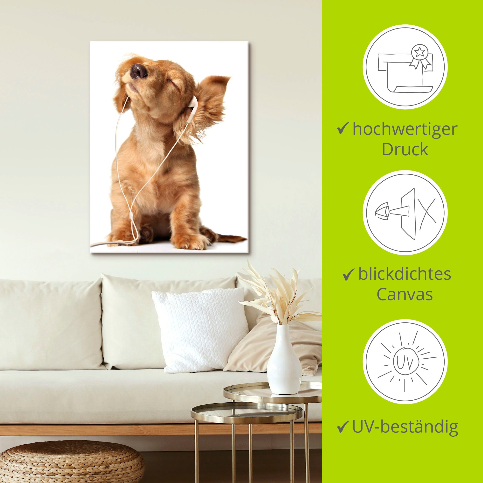 Artland Wandbild »Junger Hund hört Musik über Kopfhörer«, Haustiere, (1 St.), als Leinwandbild, Poster, Wandaufkleber in verschied. Größen