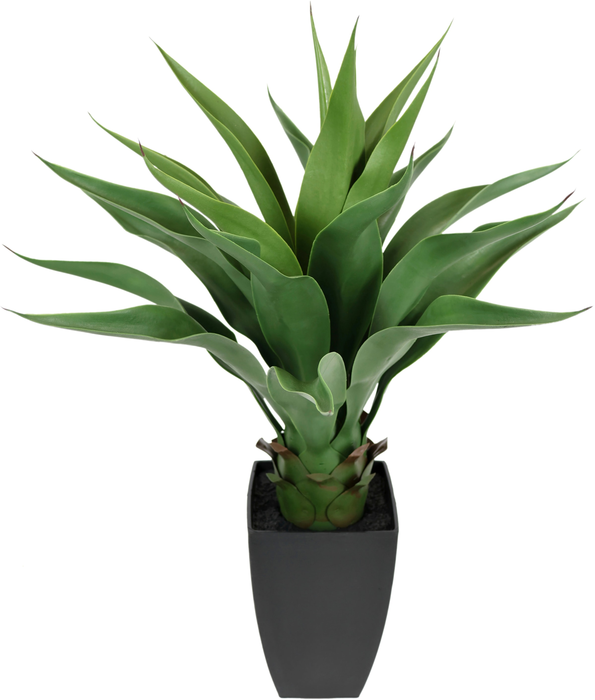 I.GE.A. Kunstpflanze »Künstliche Agave im Topf Pflanze Aloe Vera Sansevieria«, Grünpflanze Zimmerpflanze Palme