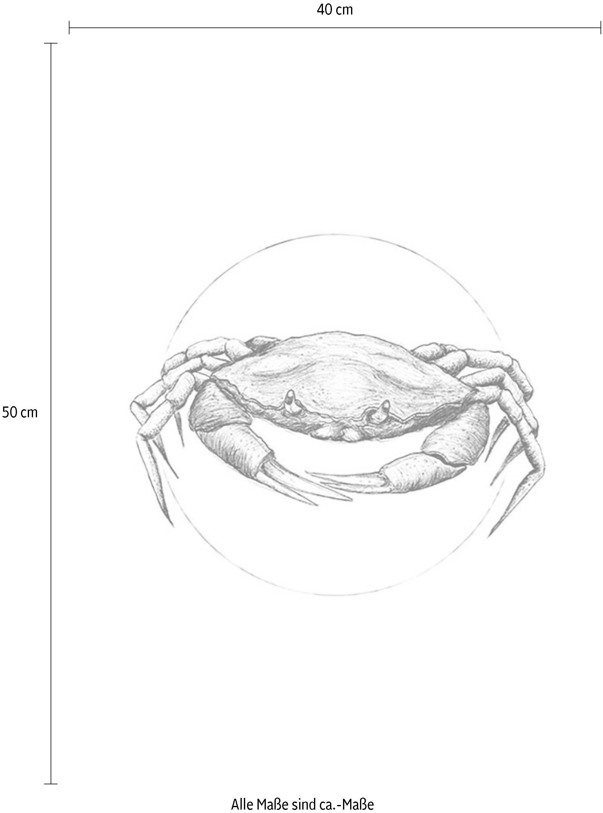 Komar Bild »Crab White«, Tiere, (1 St.), Wandbild zur Dekoration - ohne Rahmen