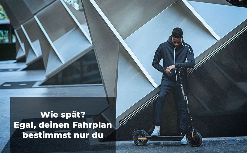 Doc.green E-Scooter »Pro Gotron EKFV«