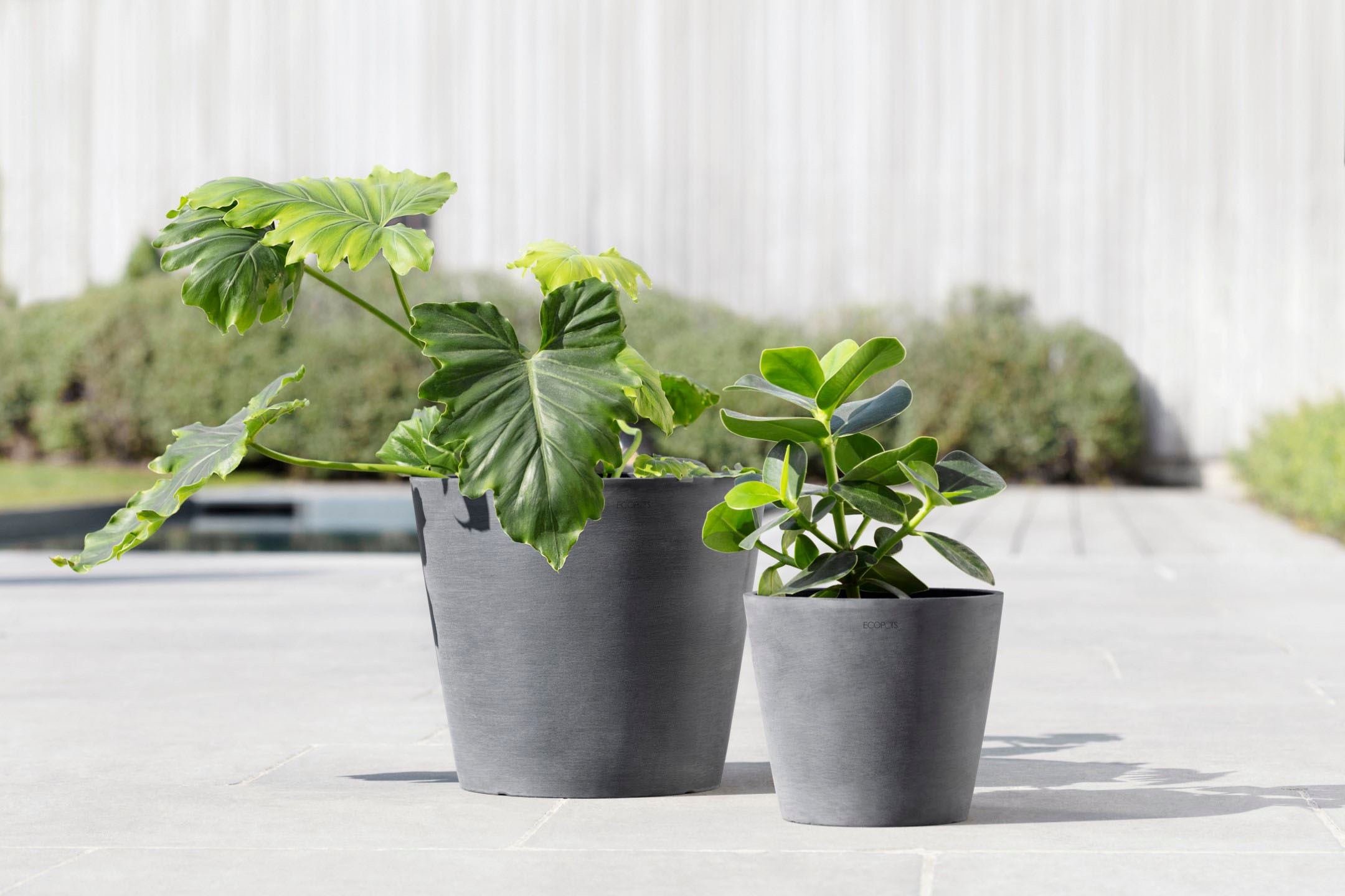 ECOPOTS Blumentopf »Amsterdam«, ØxH: 20x17,5 cm
