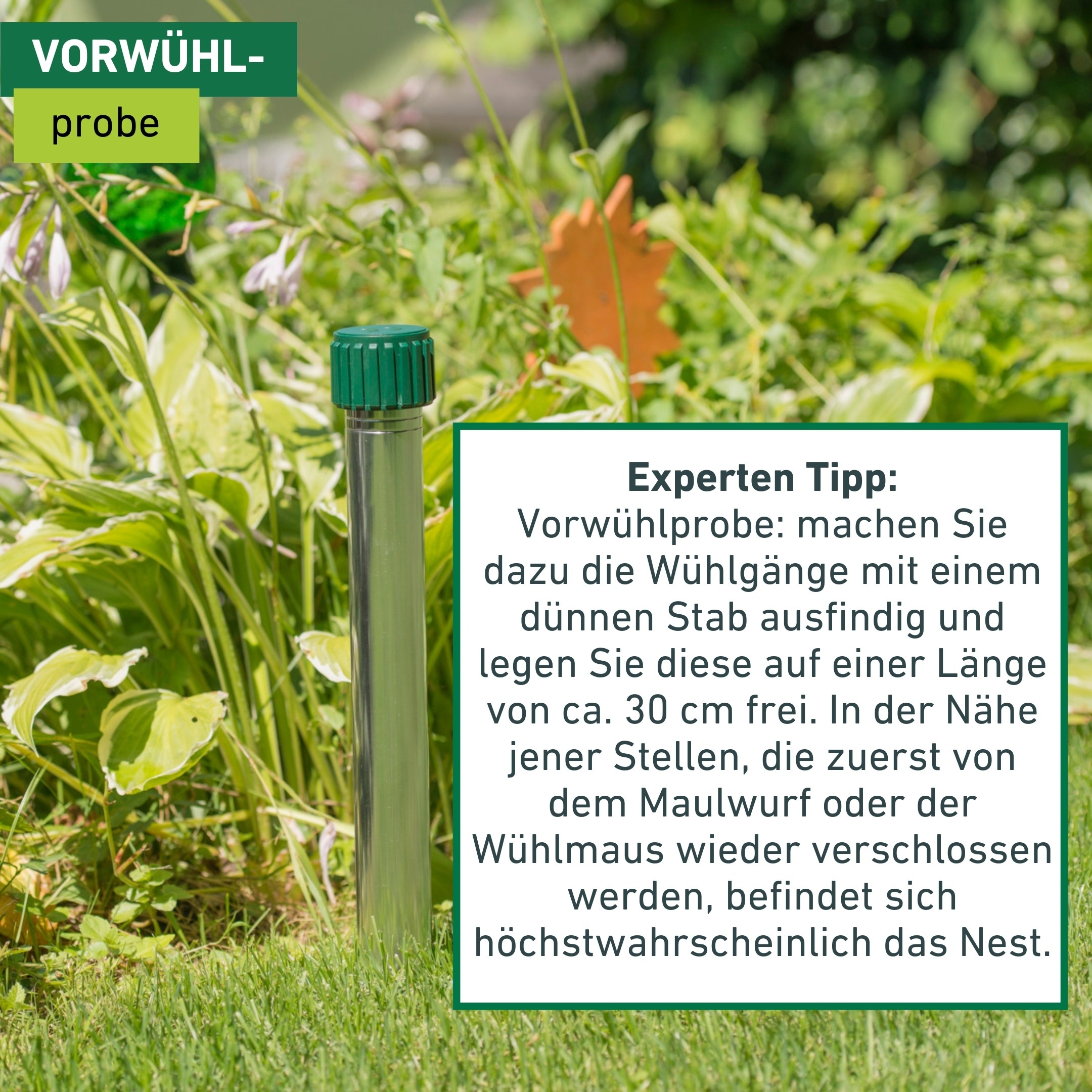 Windhager Ultraschall-Tierabwehr »Maulfwurfschreck und Wühlmausvertreiber Premium, batteriebetrieben« Wirkungsbereich 900 m² mit Resonanzschwingungen und Ultraschall