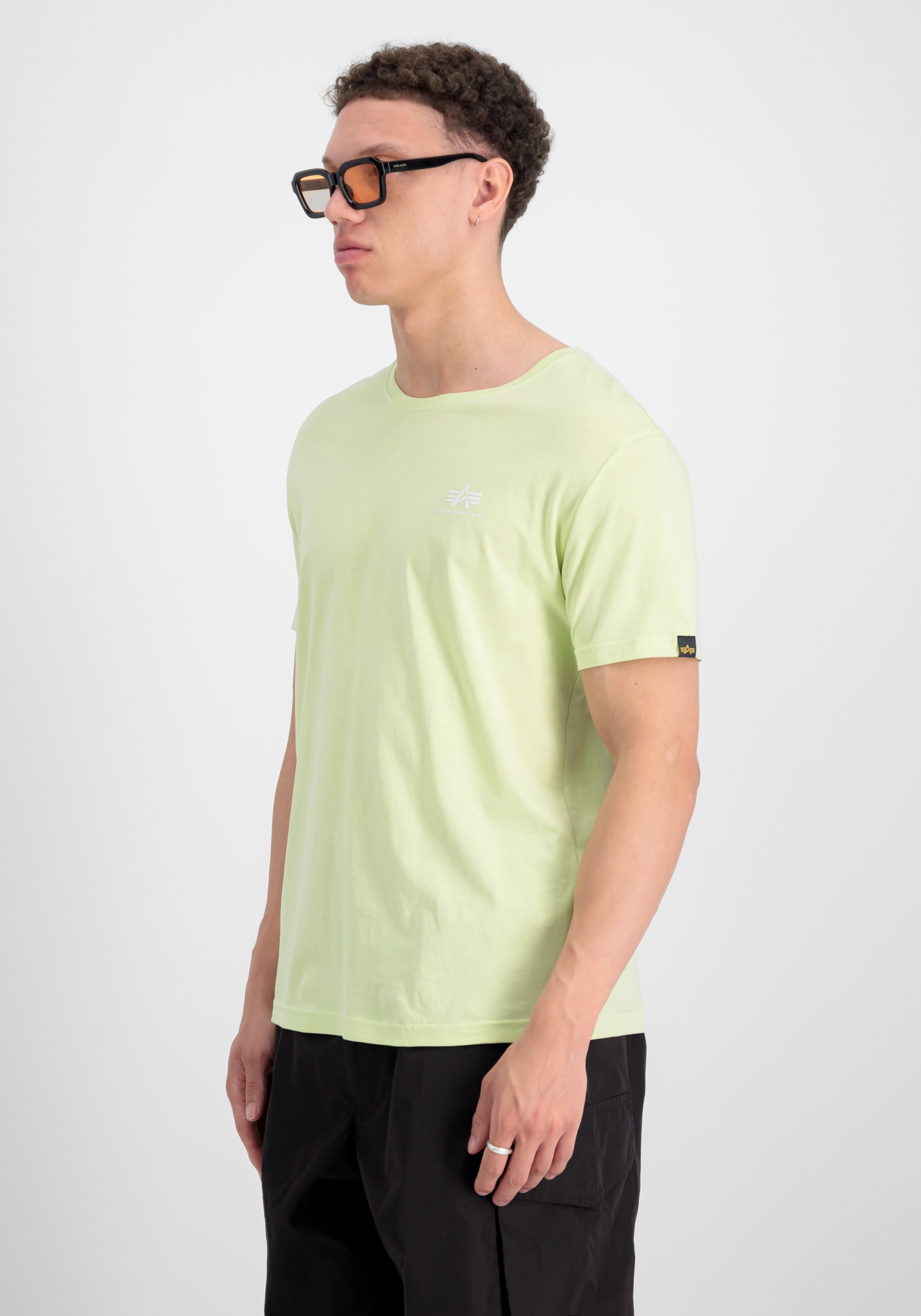 Alpha Industries T-Shirt »Backprint T-Shirt«