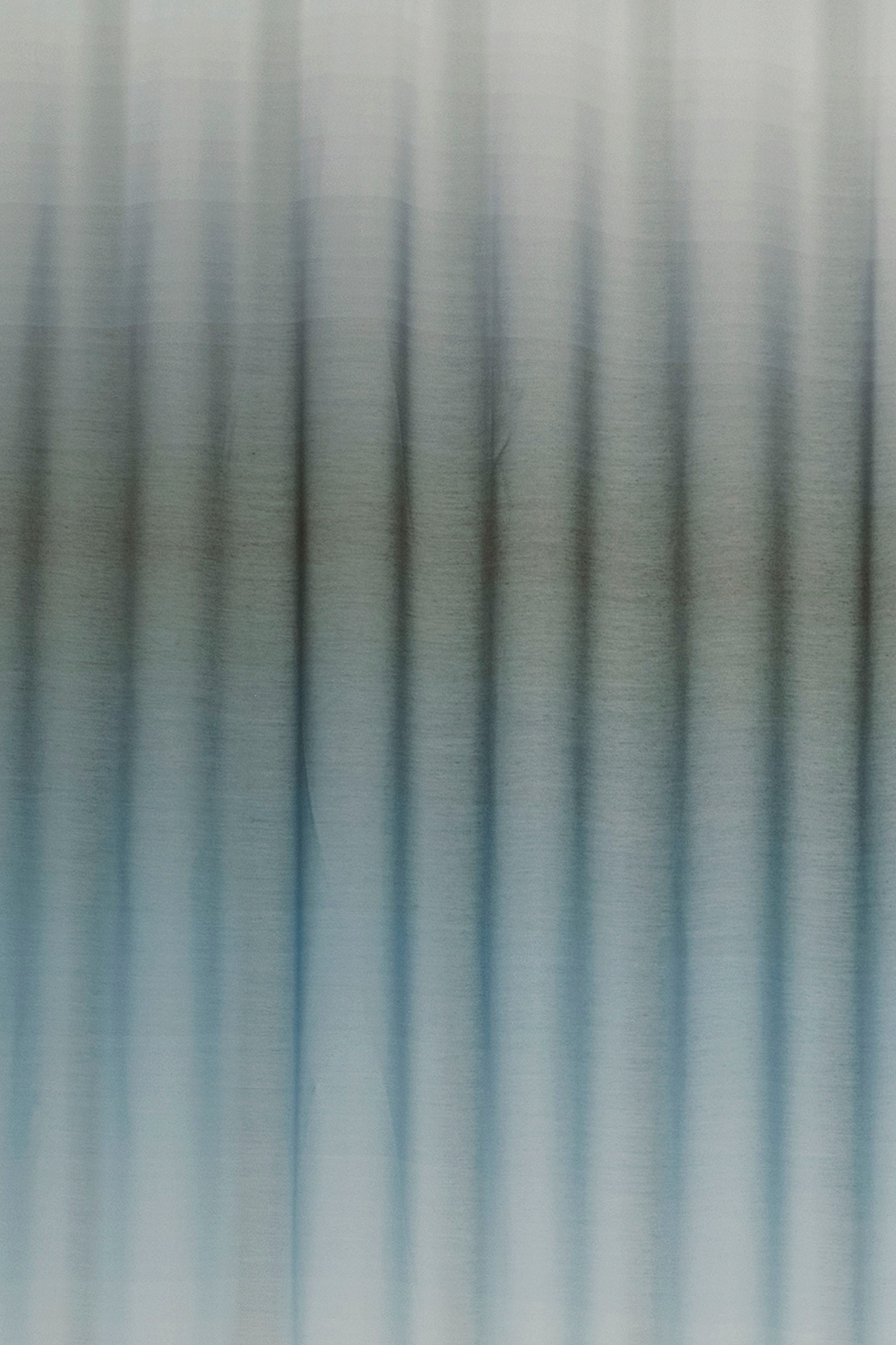 ELBERSDRUCKE Gardine »Evolution«, (1 St.)