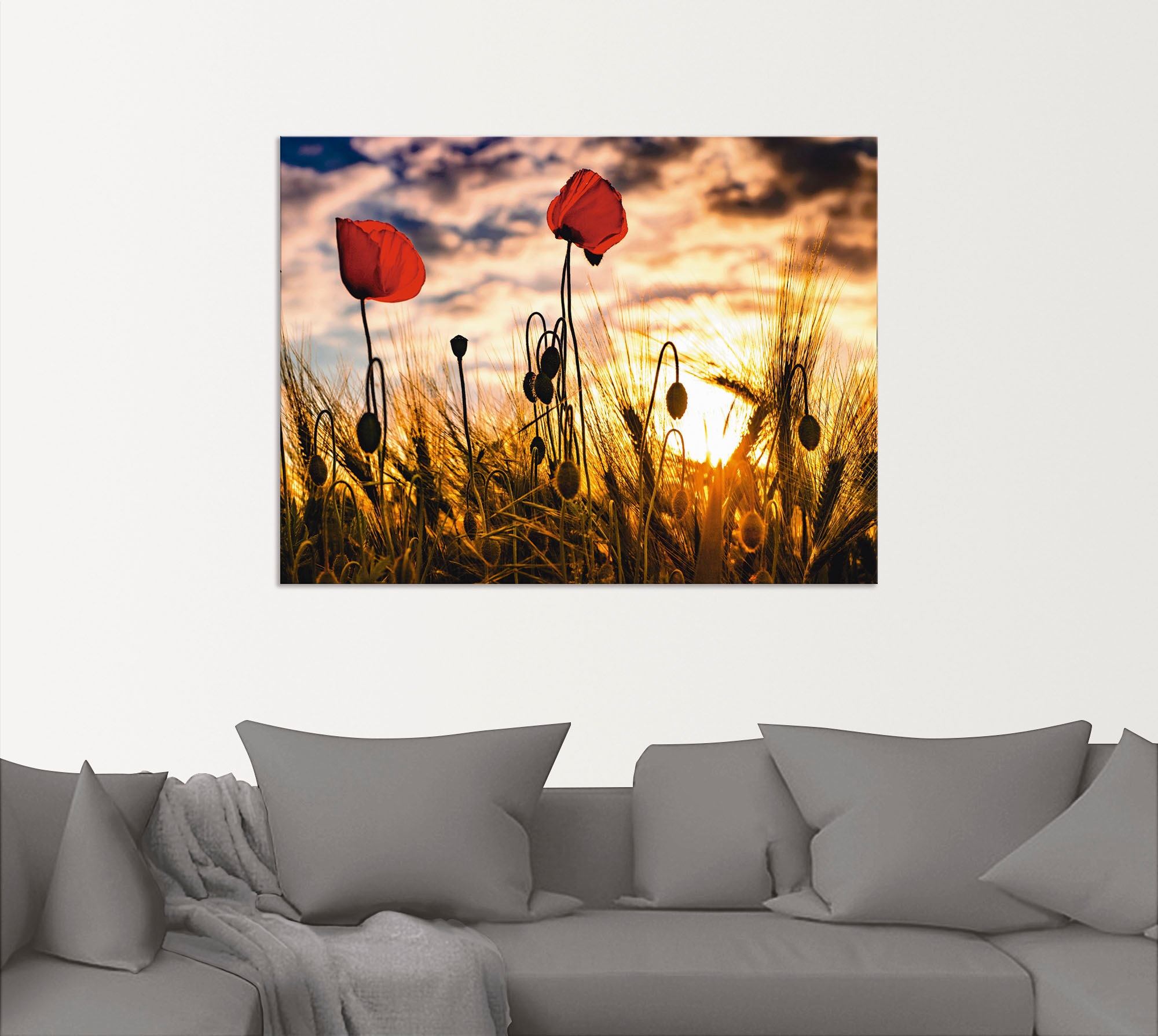Artland Wandbild »Mohnblumen im Sonnenuntergang«, Blumen, (1 St.), als Alubild, Outdoorbild, Leinwandbild, Poster, Wandaufkleber