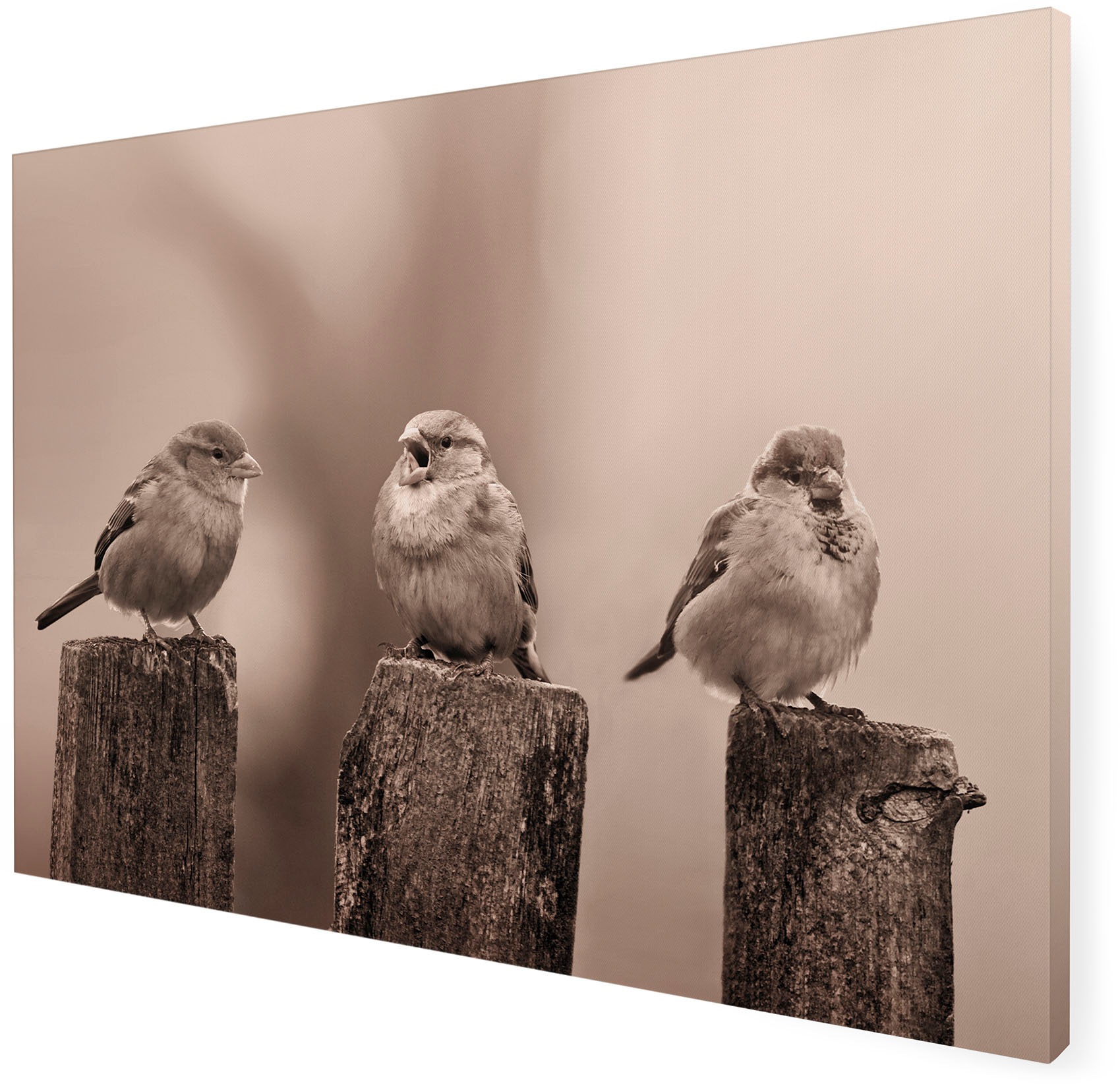 Art for the home Leinwandbild »Outdoor Vogel 50x70cm«, Romantisch-Strand, (1 St.), Leinwand für draußen- Early Birds - Sepia - 50x70cm